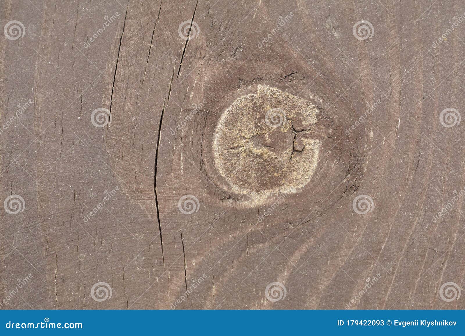 Cut Wood Knot Wooden Board with a Cut Knot Stock Image Image of