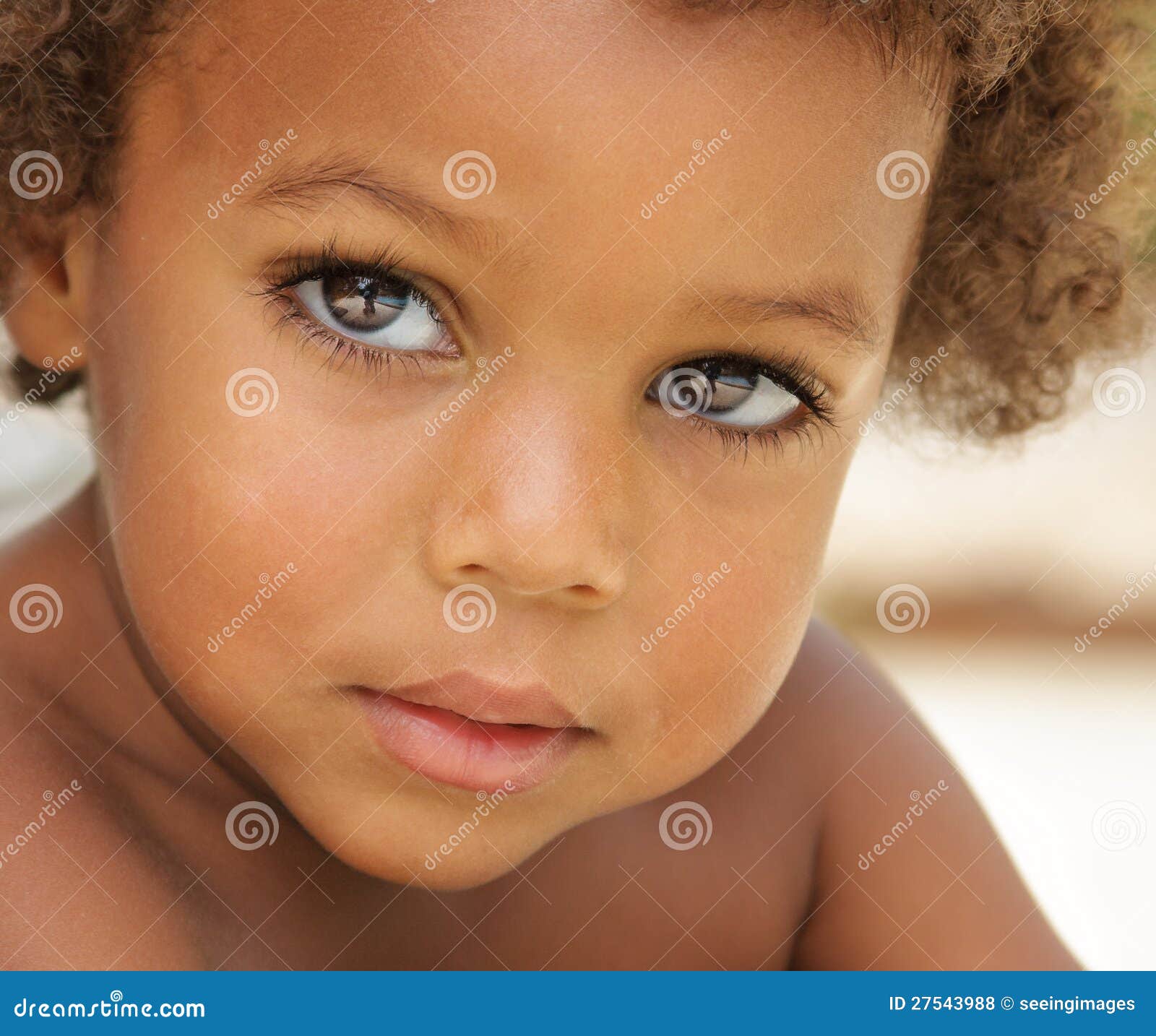 Download Cute African American Boy Stock Photo Image Of Male 27543988