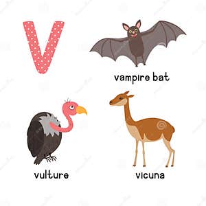 Vicuna Cartoons Illustrations Vector Stock Images 900 Pictures To 