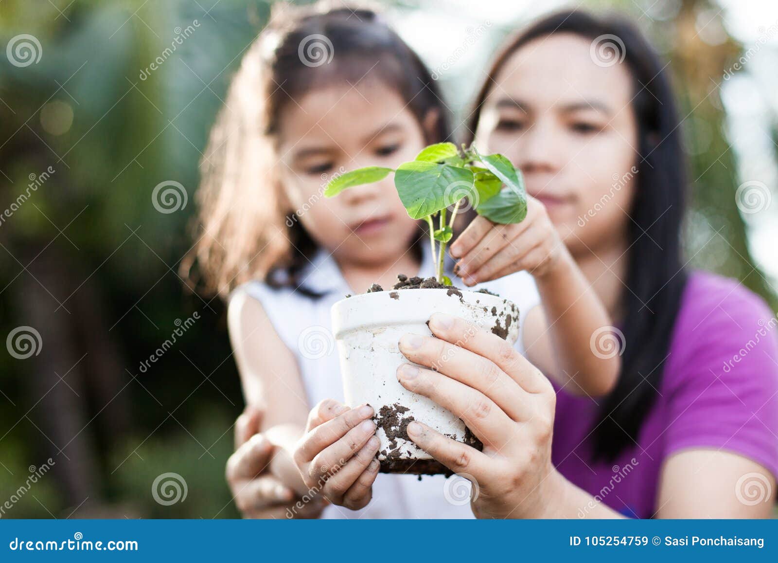 cute asian little child girl and parent holding young tree