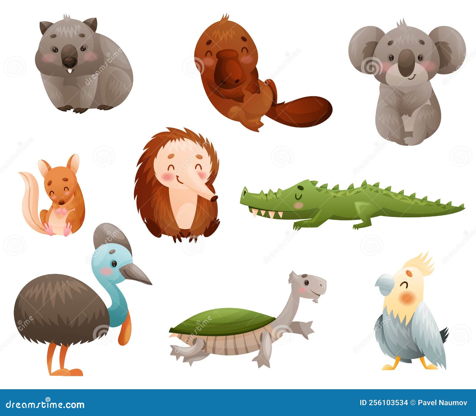 cute australian animals and endemic fauna with echidna and koala  set