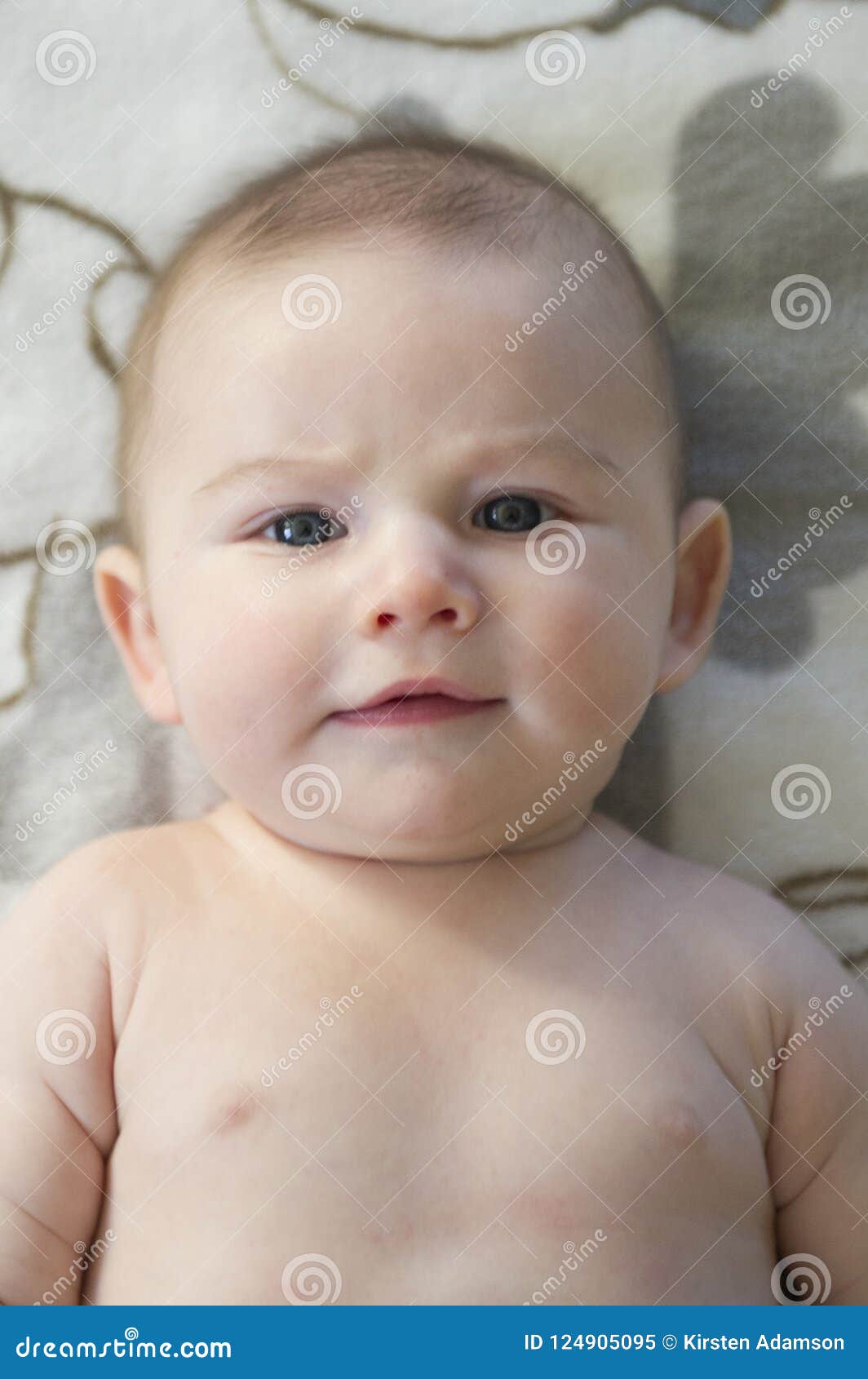 Cute Baby Blue Eyed Boy Stock Image Image Of Innocence