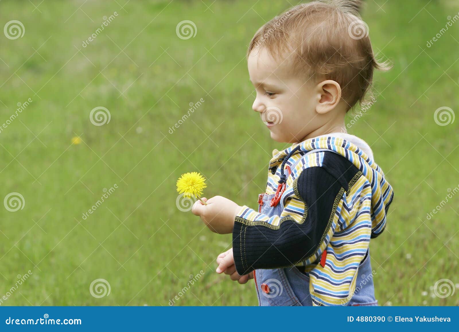 Cute baby boy stock photo. Image of flower, toddler, cheerful 4880390