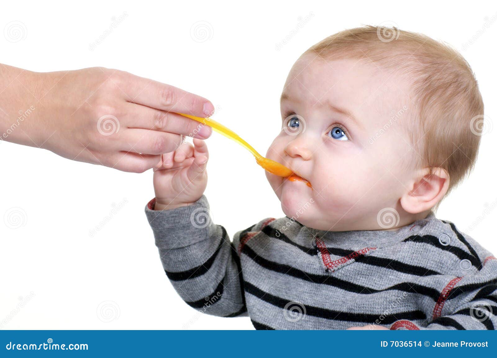 Cute Baby Eating Lunch stock photo. Image of adorable 7036514