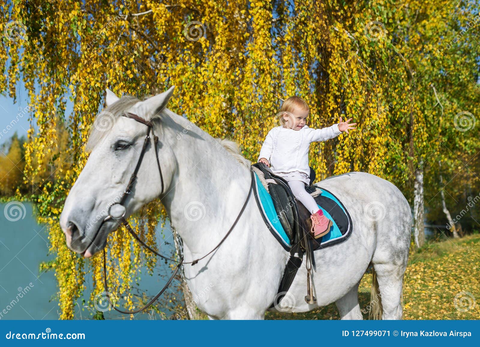 A Cute Baby Girl is Sitting on a Beautiful White Horse in Autumn ...