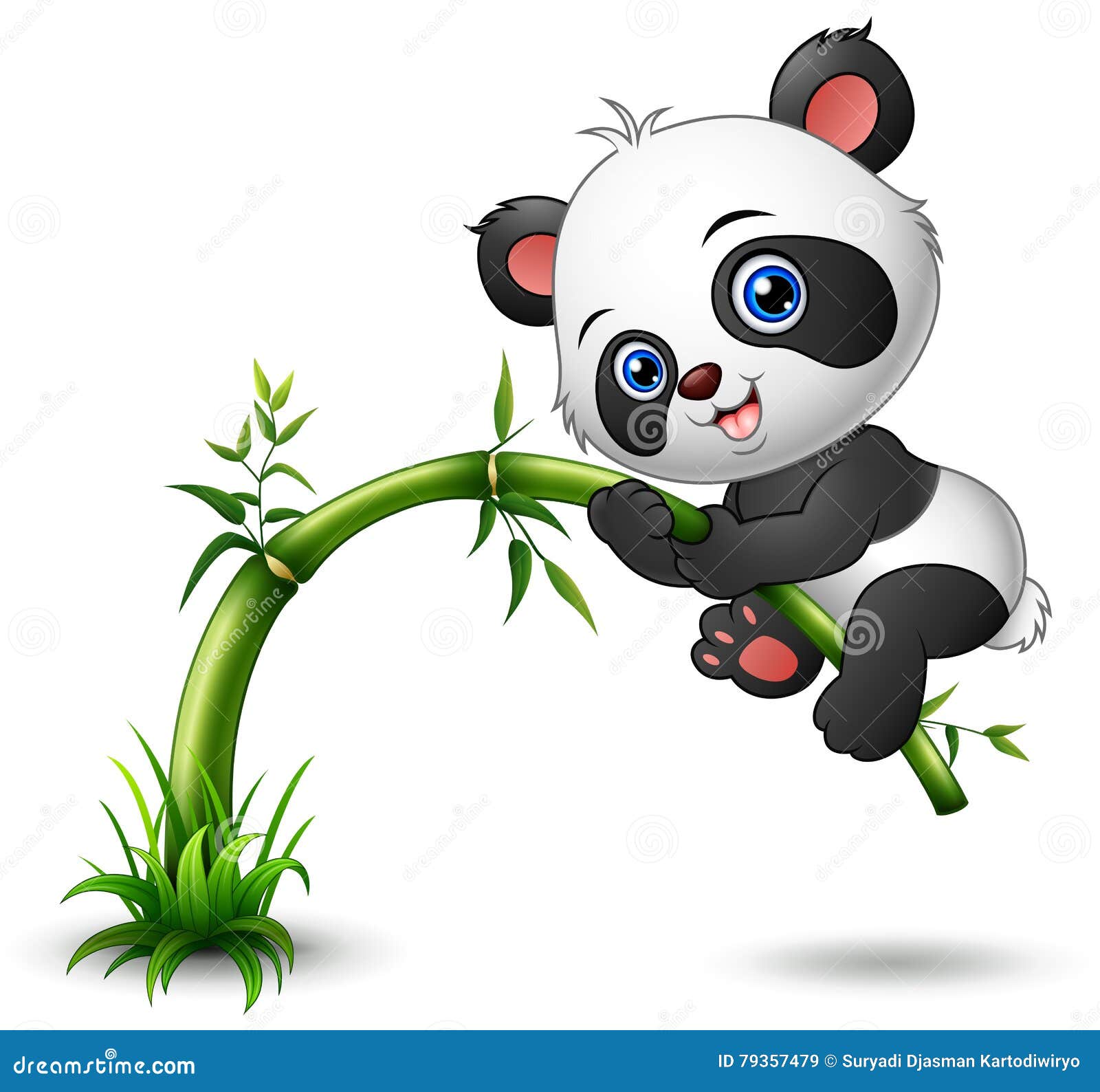 Cute Baby Panda Tree Climbing Bamboo Stock Vector - Illustration of forest,  clip: 79357479