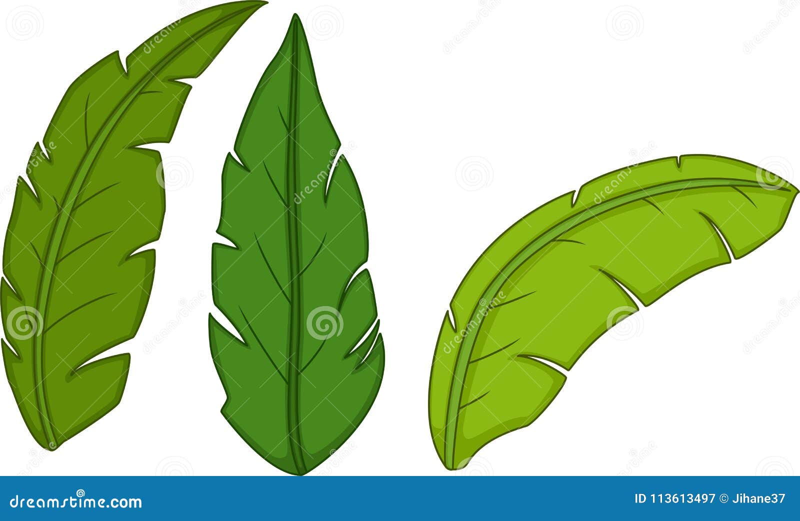 Cute Banana Leaf Cartoon on White Background Stock Illustration