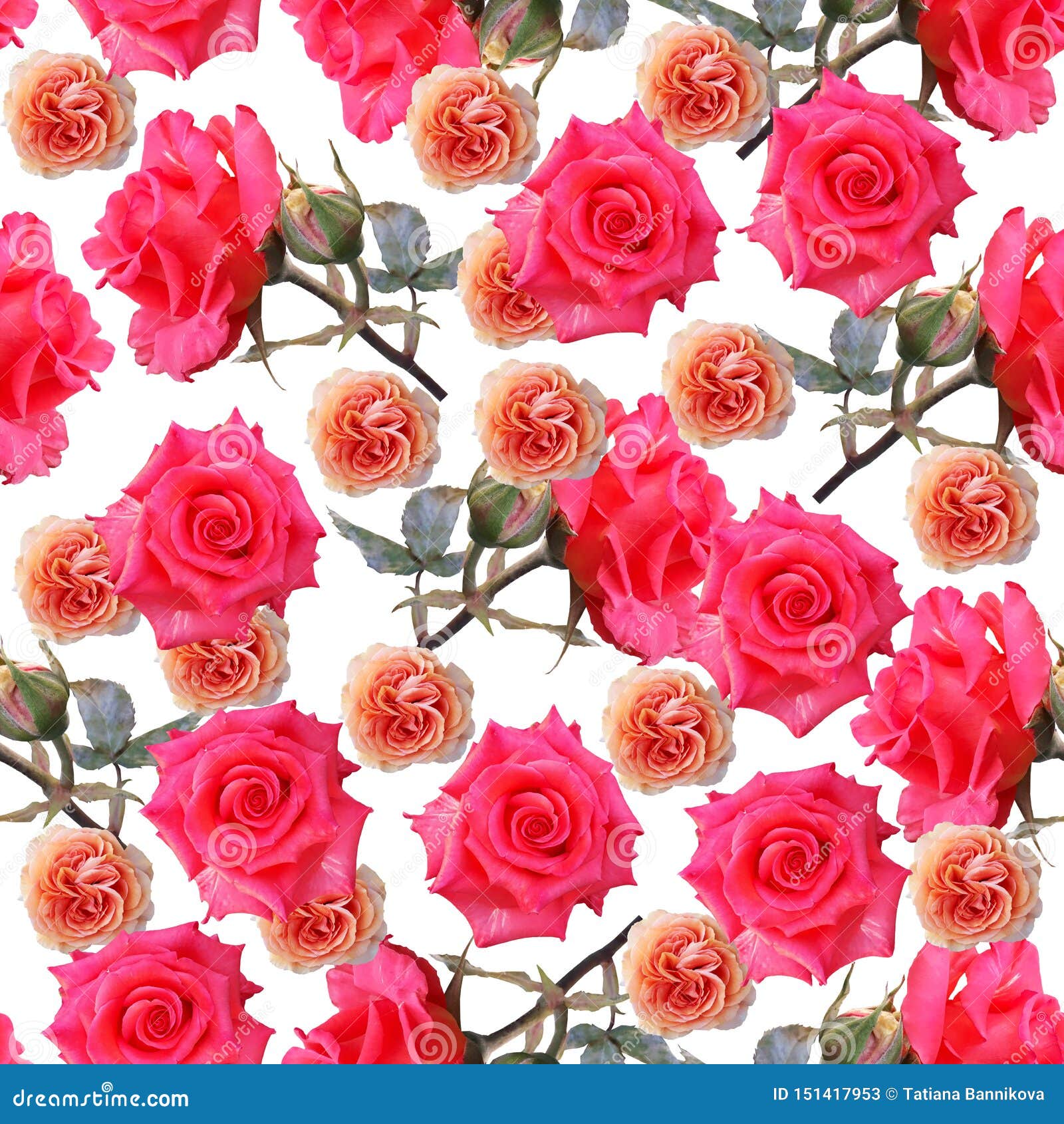 Cute Beautiful Colorful Roses. Seamless Floral Photo Background ...