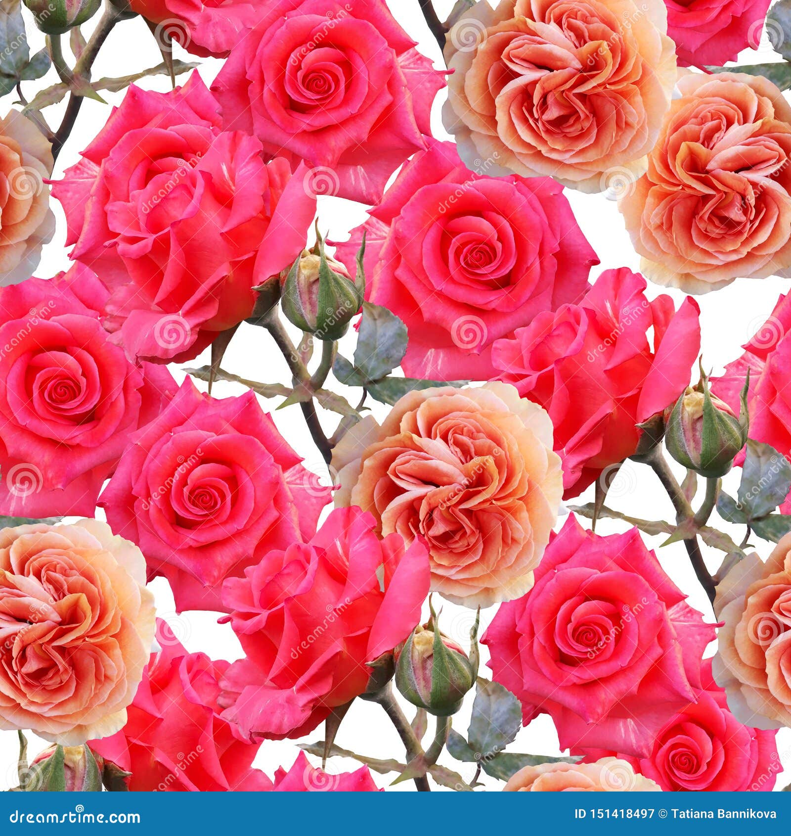 Với hình nền hoa hồng, bạn có thể thể hiện lòng yêu thương và sự quan tâm đến người thân, bạn bè của mình. Bức ảnh như một thông điệp ý nghĩa đến với những người bạn yêu thương.