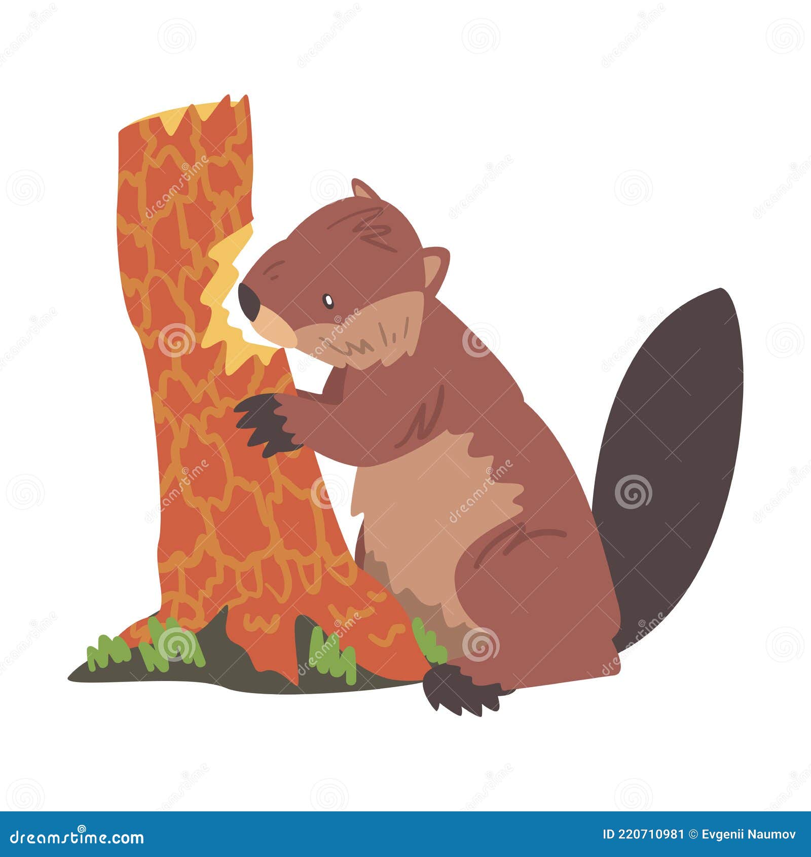 Cute Beaver Gnawing Old Tree Trunk, Brown Rodent Wild Mammal Animal Cartoon  Vector Illustration Stock Vector - Illustration of isolated, smile:  220710981