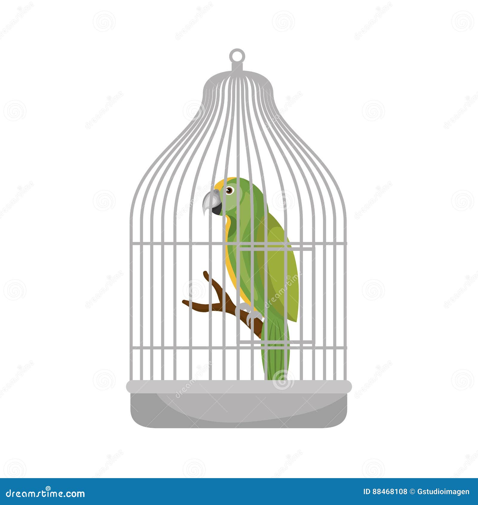 Parrot Cage Stock Illustrations 1,247 Parrot Cage Stock Illustrations, Vectors & Clipart