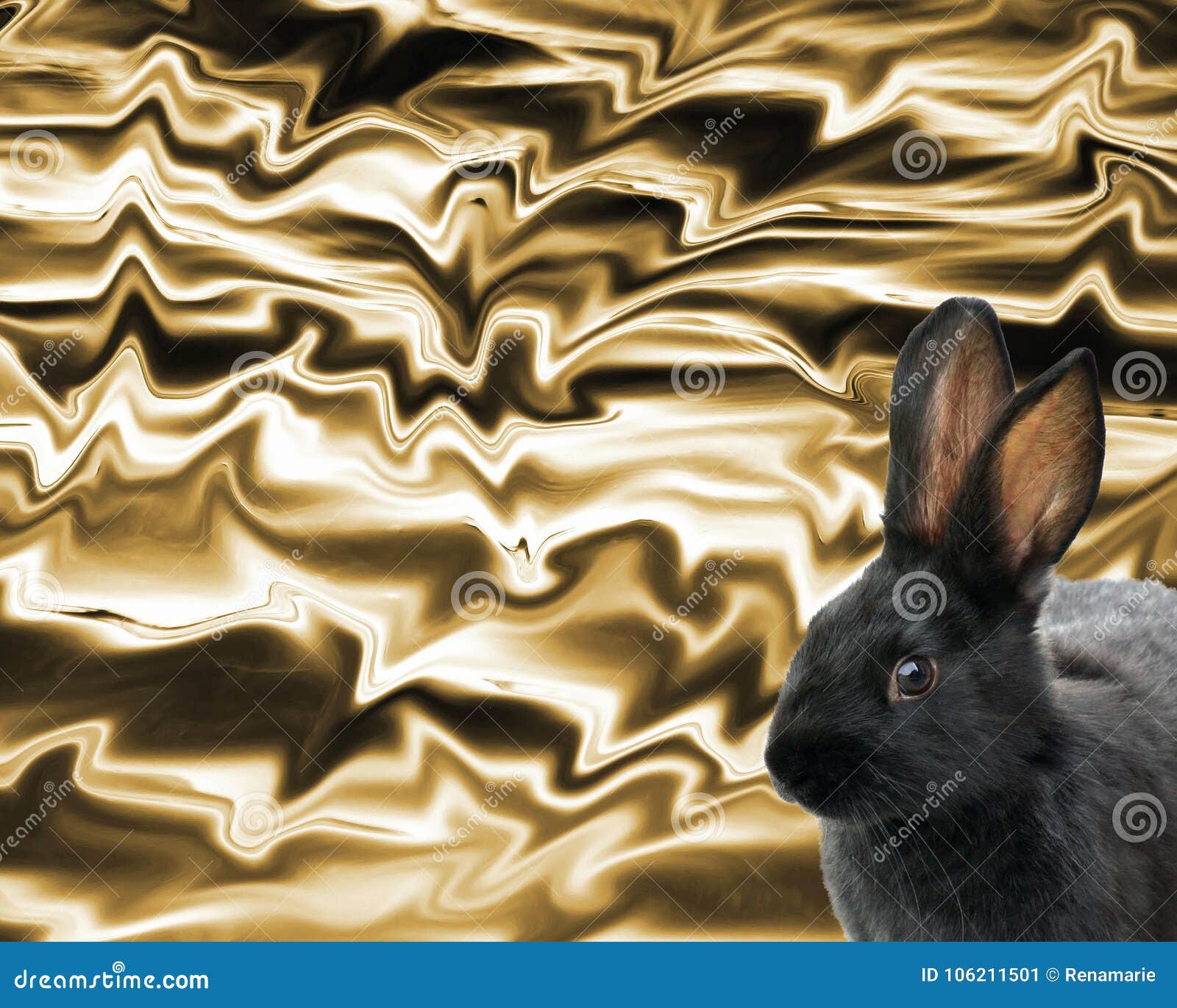 Cute Black Bunny Rabbit Against an Abstract Gold Background Stock Image