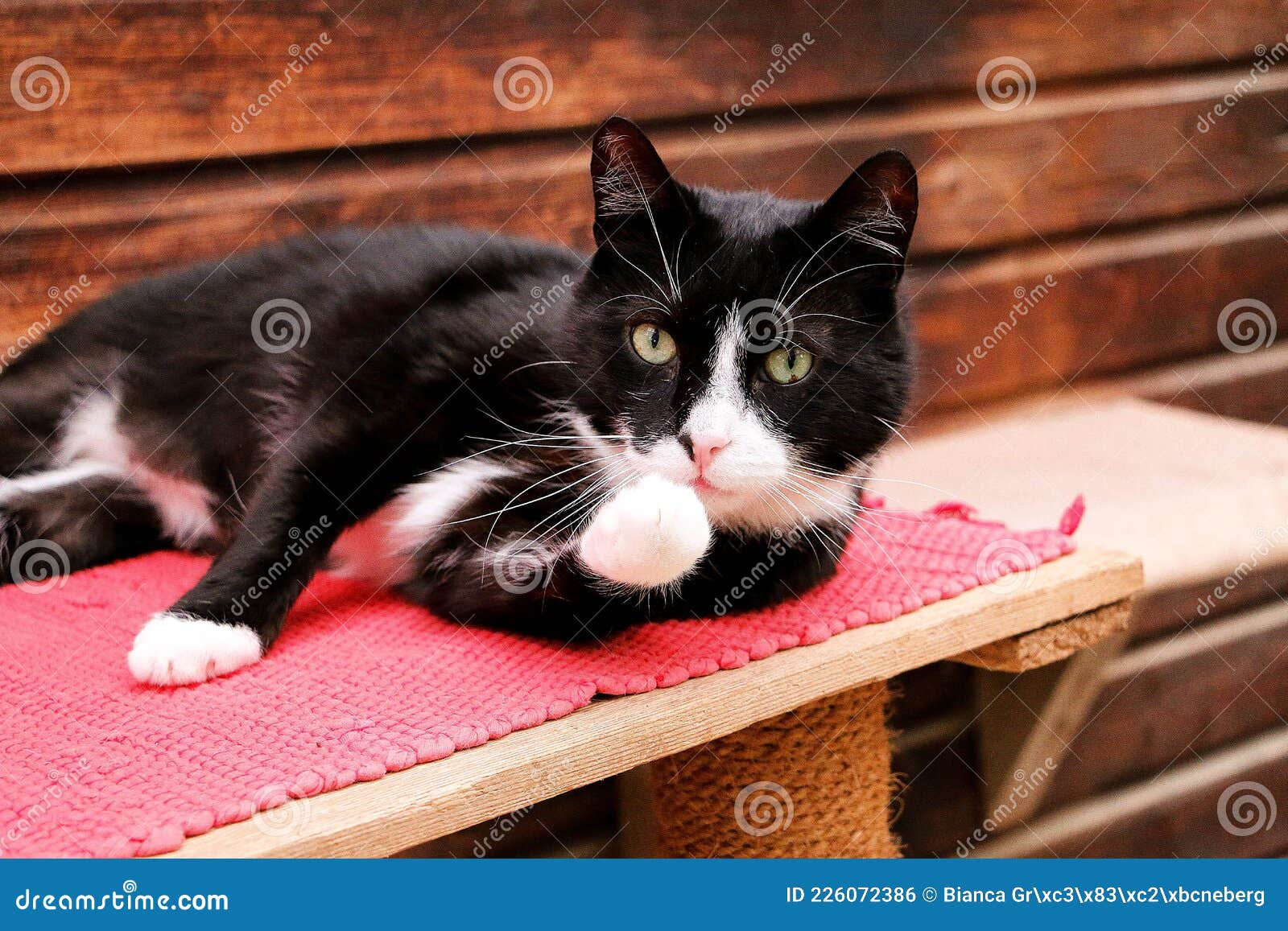 black scratching post