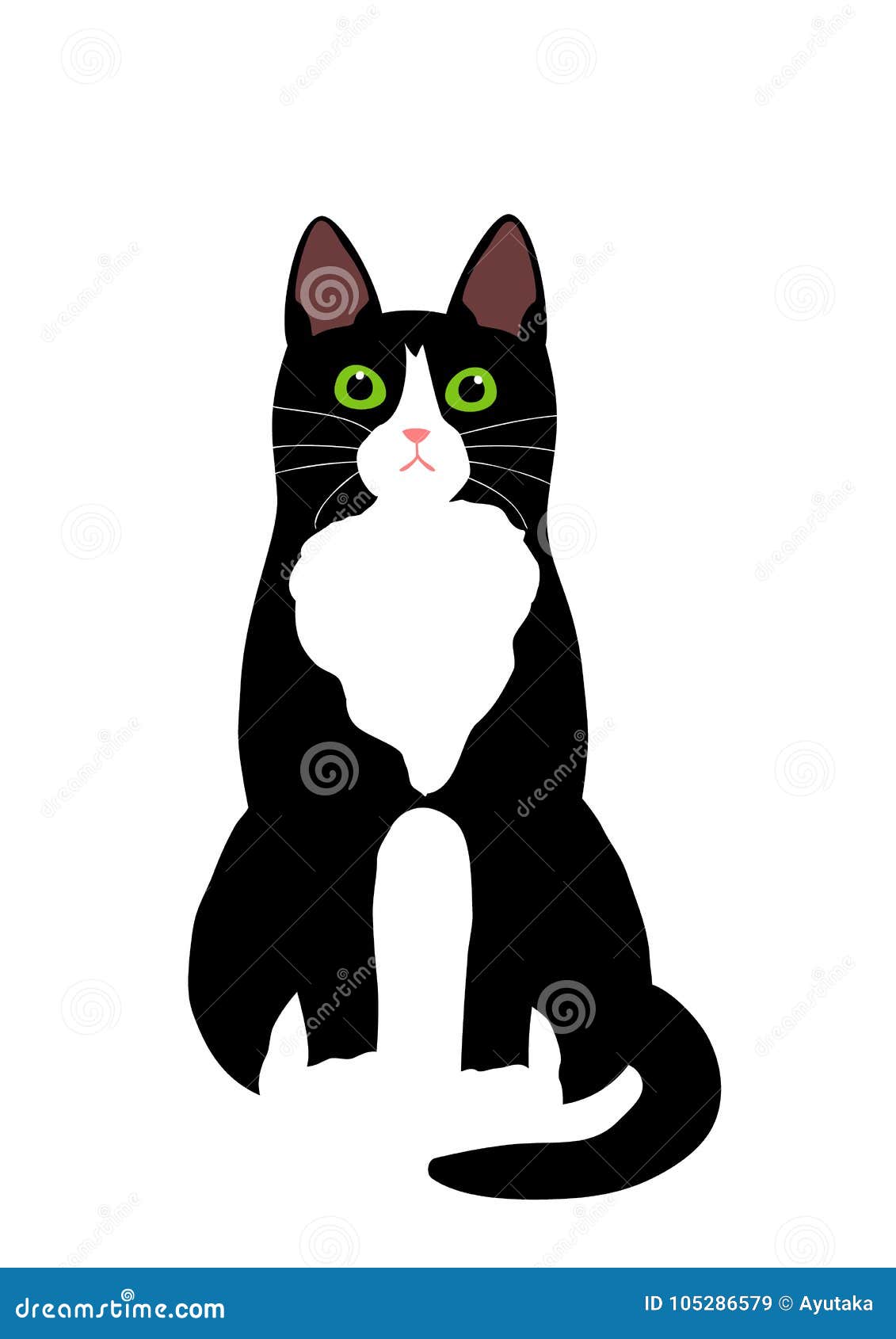 Cute Black And White Cat Sitting Stock Vector ...
