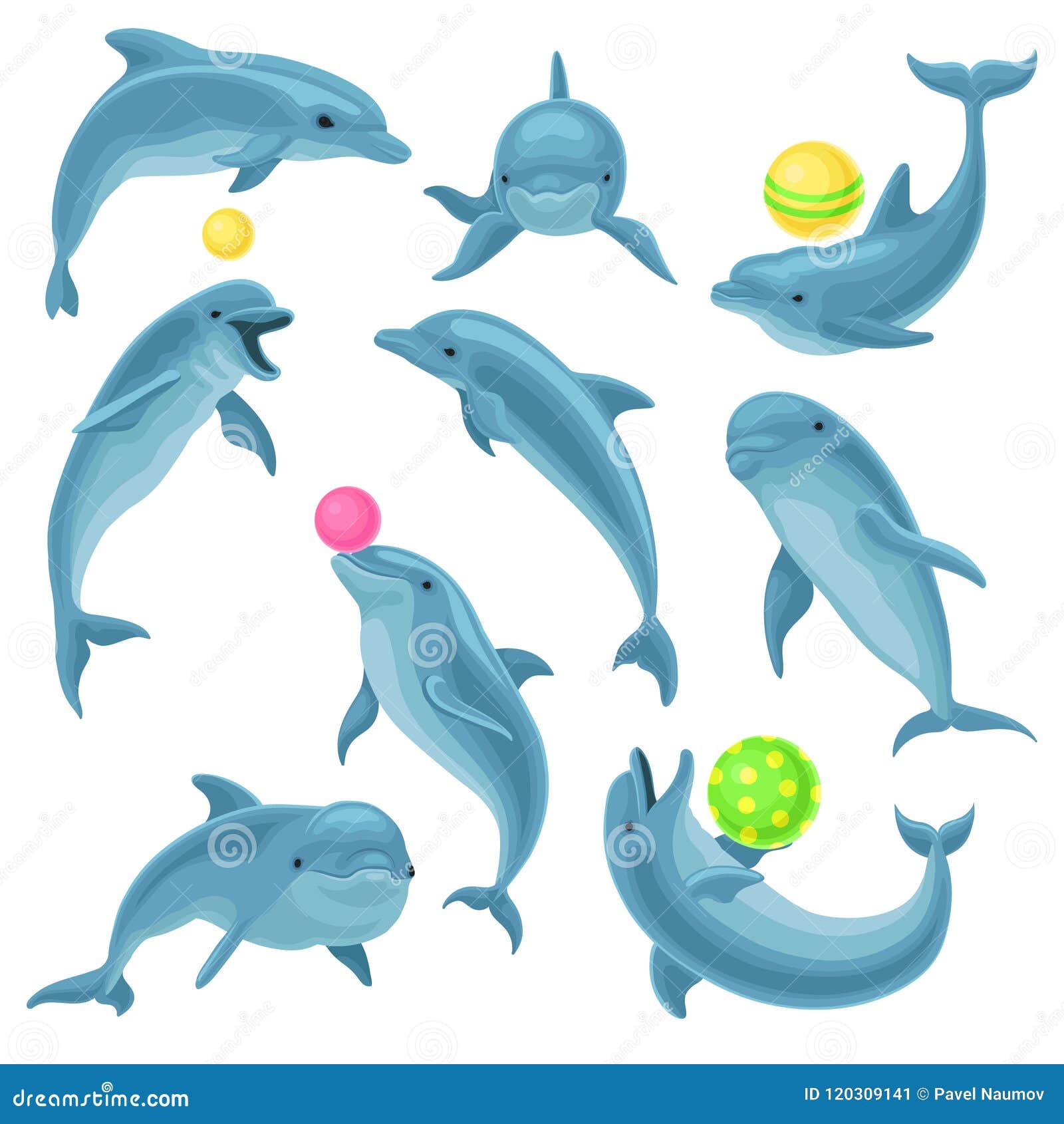 cute blue dolphins set, dolphin jumping and performings tricks with ball for entertainment show   on a