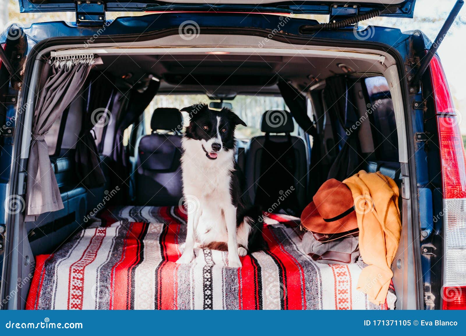 Dog driving van hi-res stock photography and images - Alamy