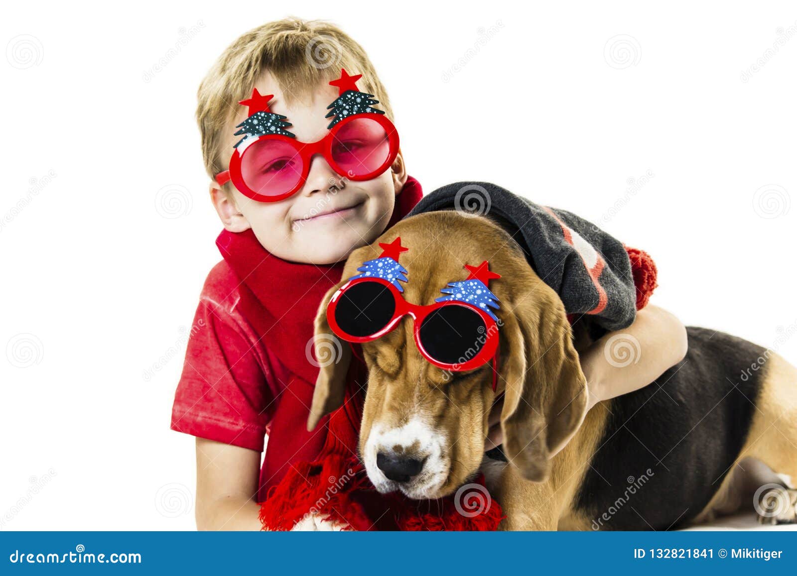 dog christmas zoom background dog christmas zoom background