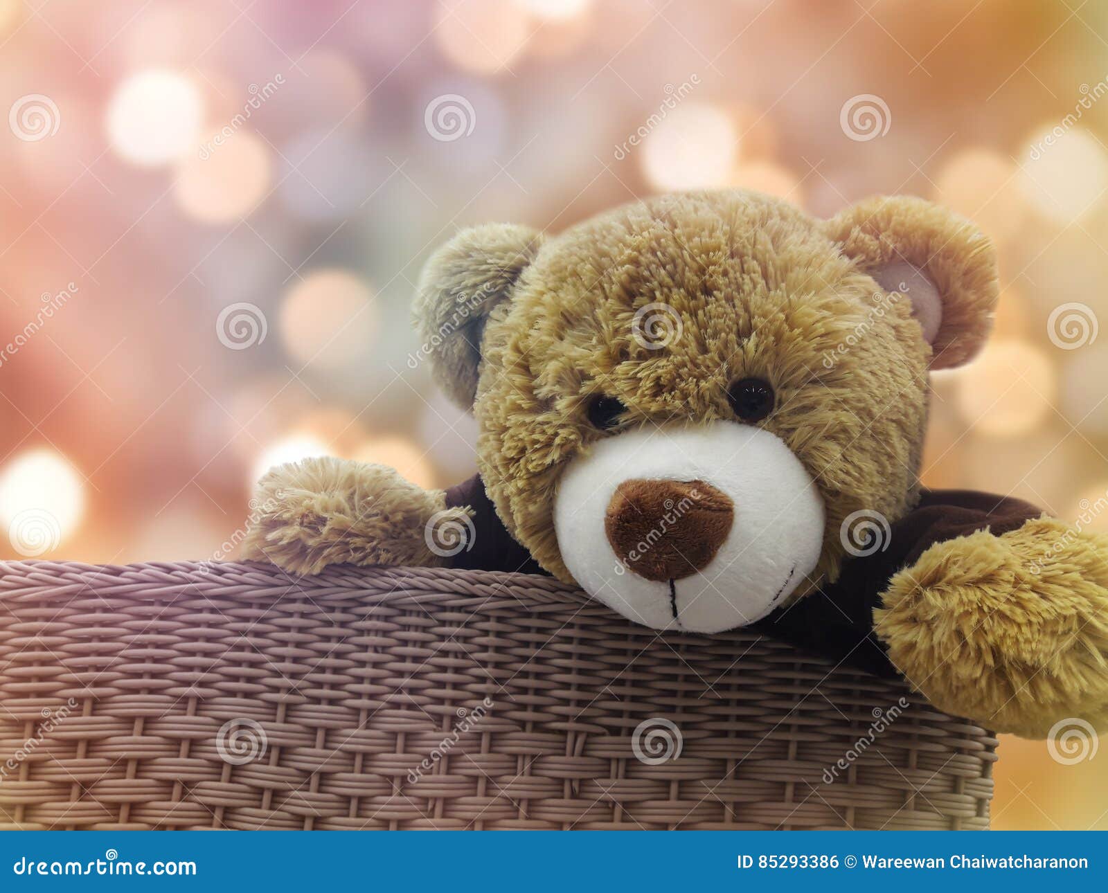 I LOVE SUMO Teddy Bear NEW Gift Present Birthday Xmas Cute Cuddly Soft 
