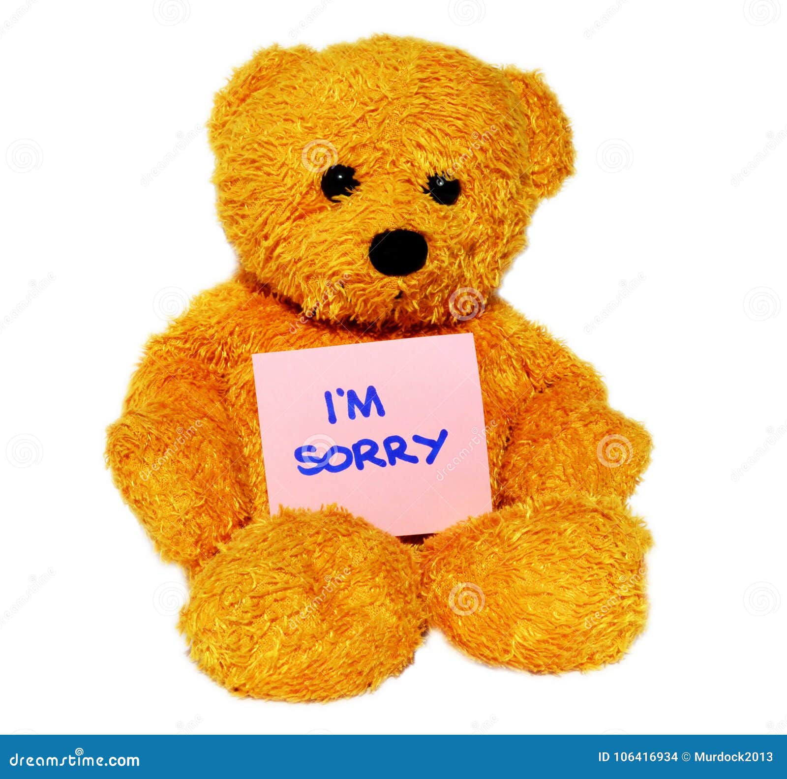 Im Sorry teddy bear stock photo. Image of isolated, concept ...