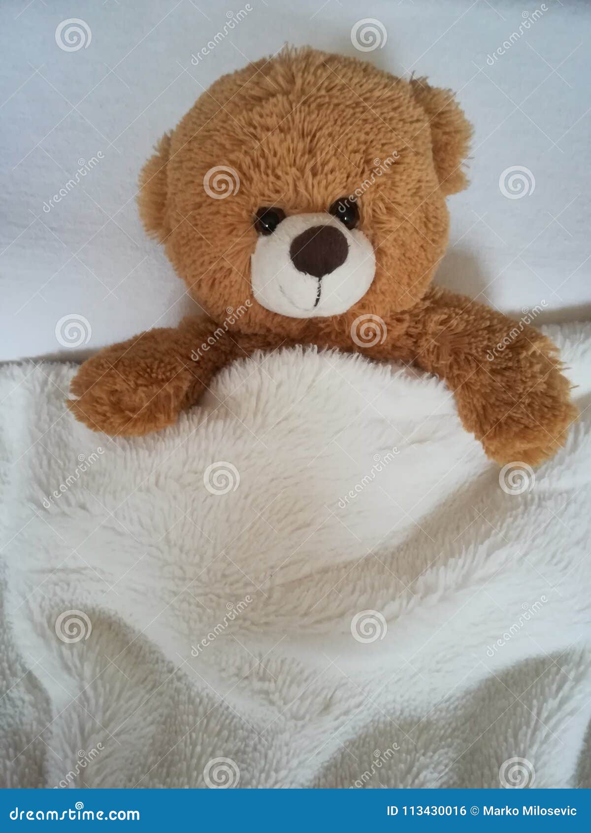 teddy bear on bed.