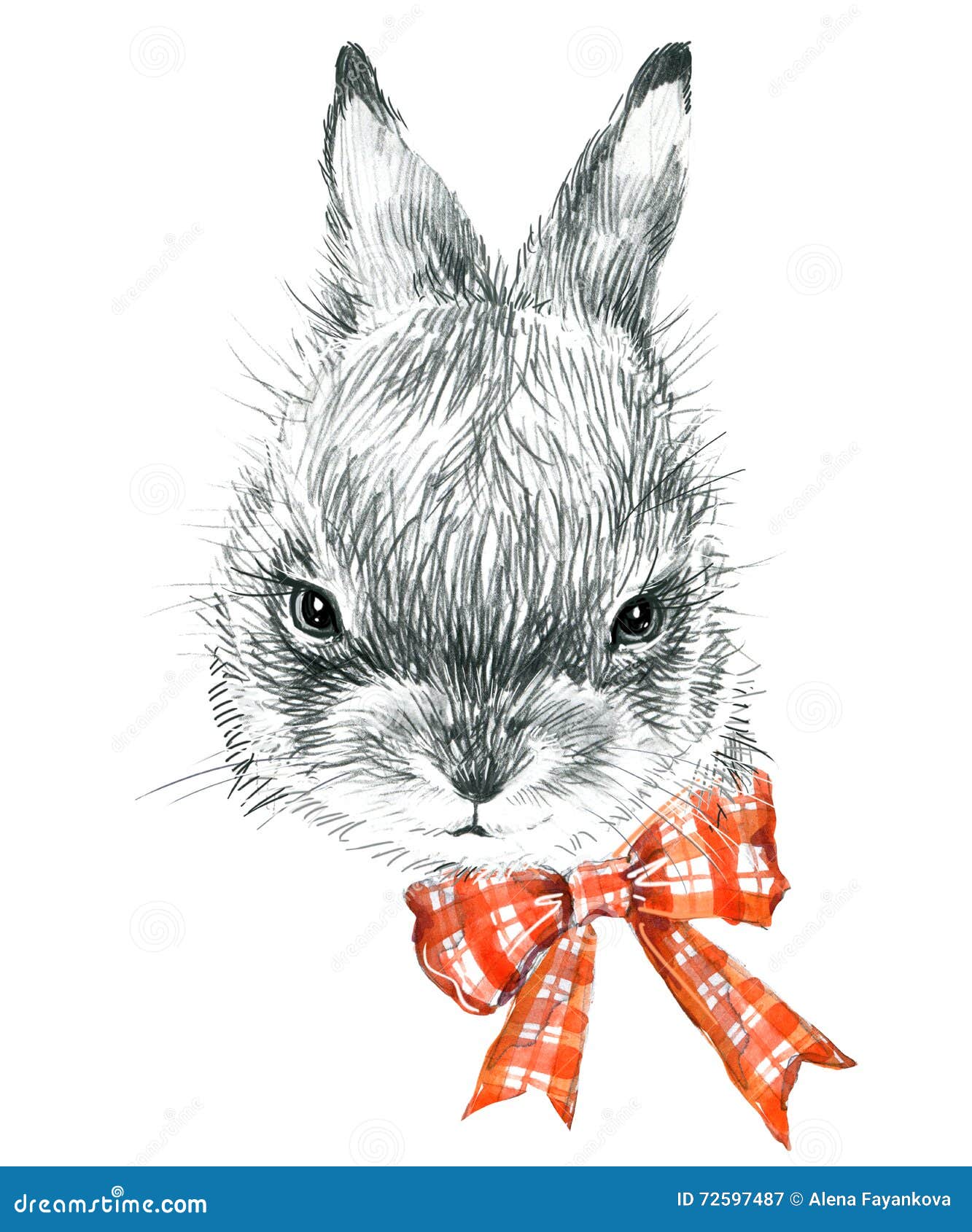 Bunny Rabbit Sketch, 00586 | Unframed – Pretty in Print Art Ltd