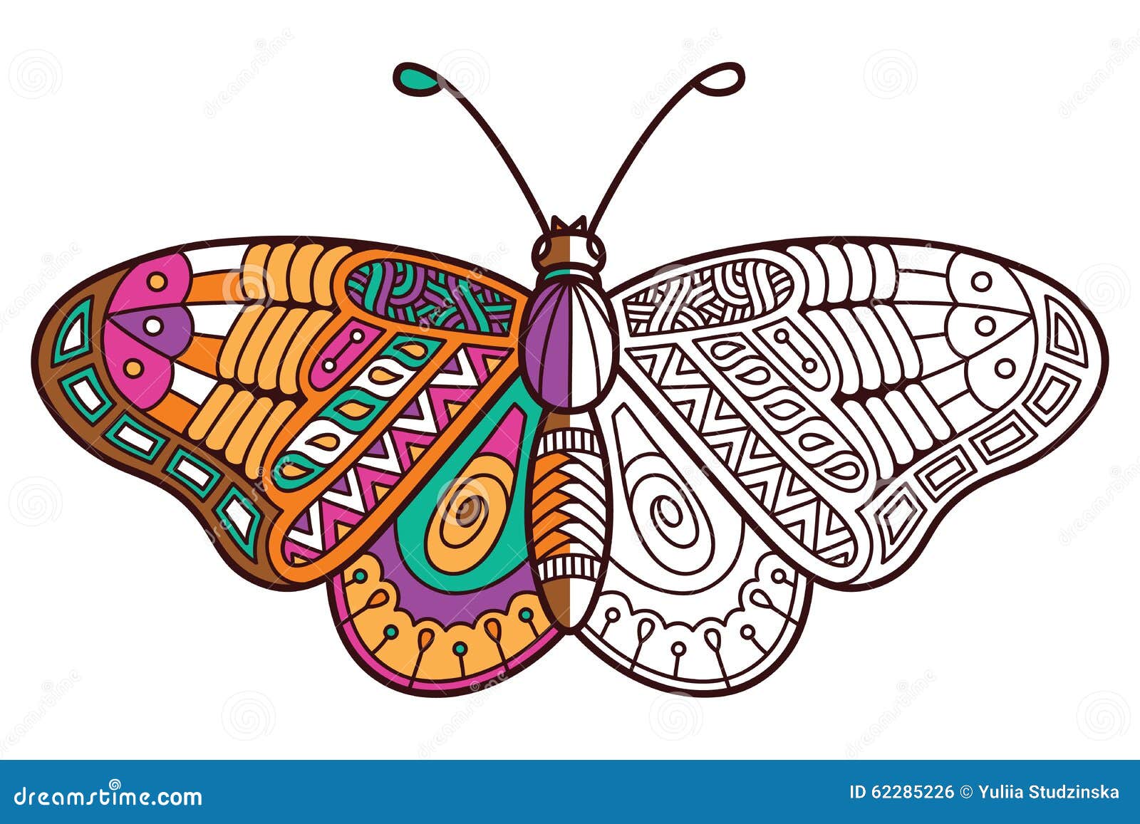 Download Cute Butterfly Half Coloring. Stock Vector - Illustration ...