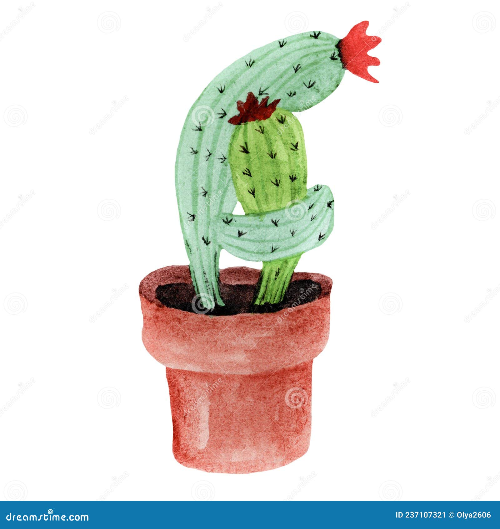 cute cacti hugging, watercolor  of cactus in love for valentine's day, on  white background
