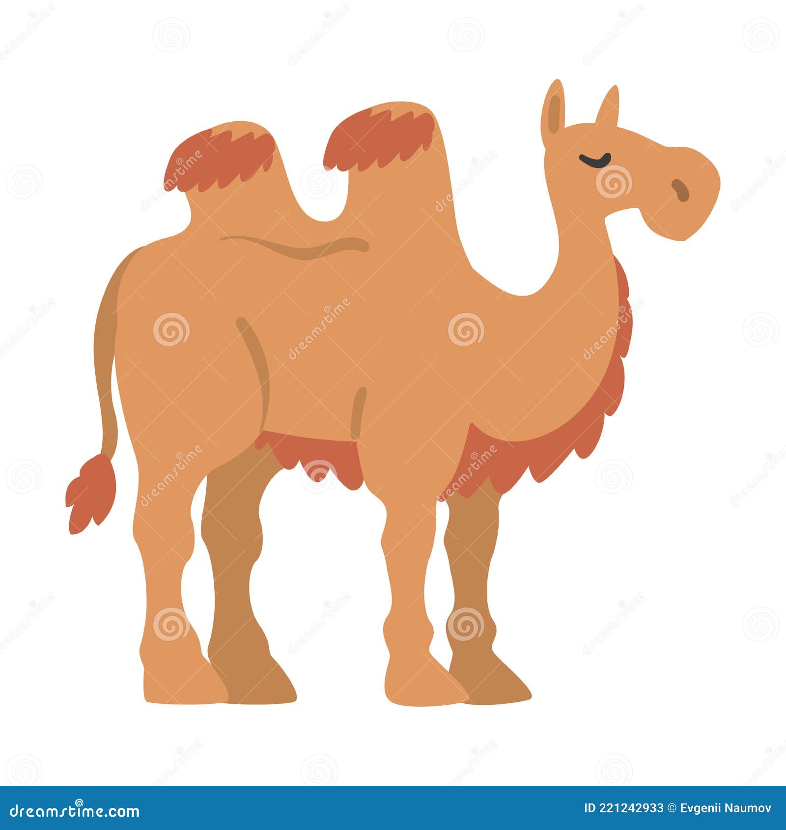 Cute Camel African Animal, Wild Herbivore Jungle Animal Cartoon Vector Illustration Stock Vector - Illustration of vector, wild: 221242933 Cute Camel African Animal, Wild Herbivore Jungle Animal Cartoon Vector Illustration Stock Vector - Illustration of vector, wild: 221242933