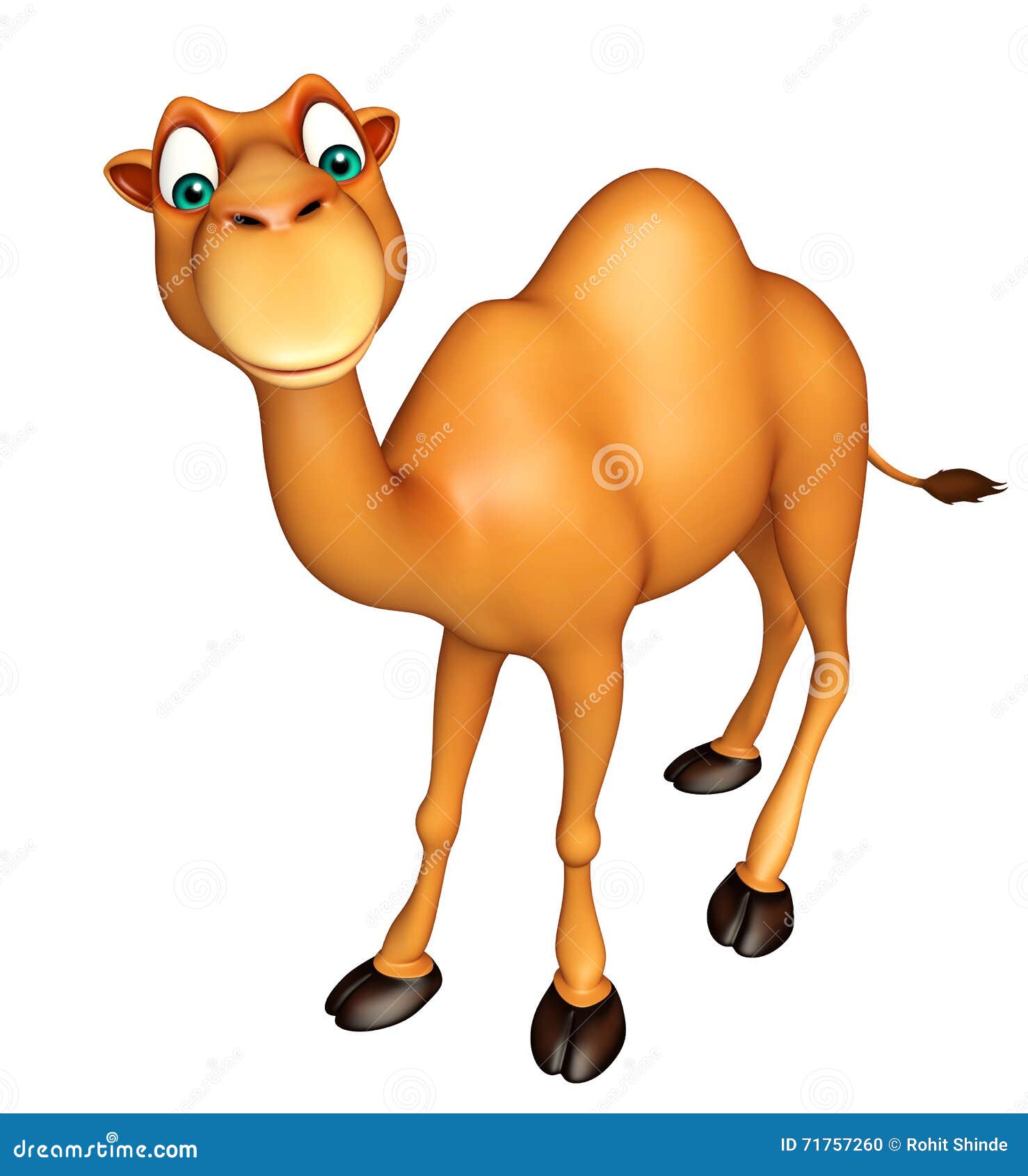 Cute Camel Funny Cartoon Character Stock Illustration - Illustration of transport, toon: 71757260 Cute Camel Funny Cartoon Character Stock Illustration - Illustration of transport, toon: 71757260