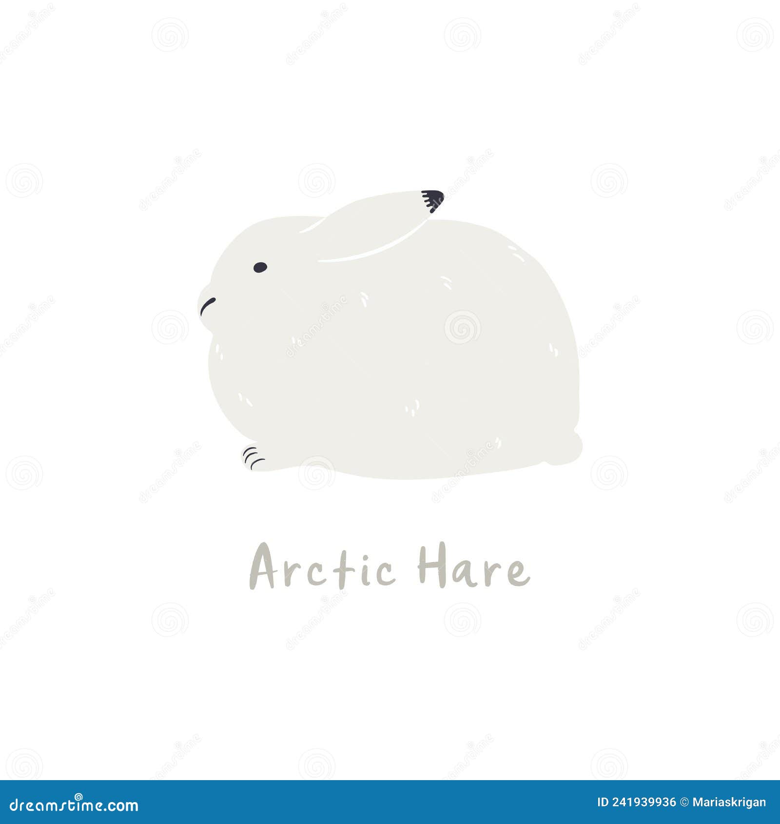Arctic Hare Cartoon Isolated On White Background Stock Illustration ...