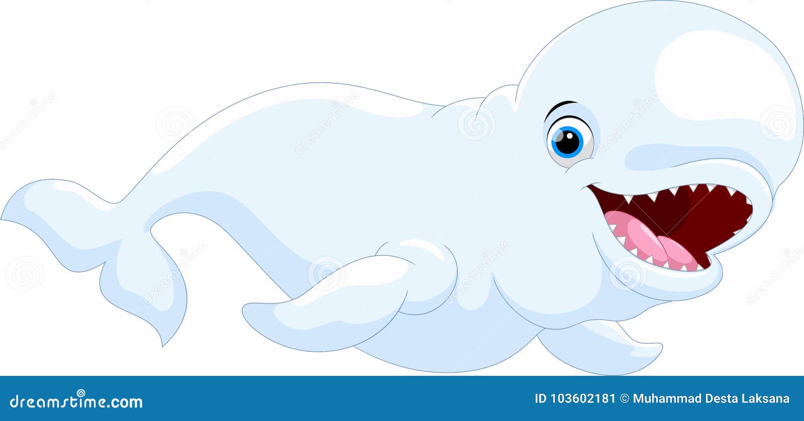 beluga whale images