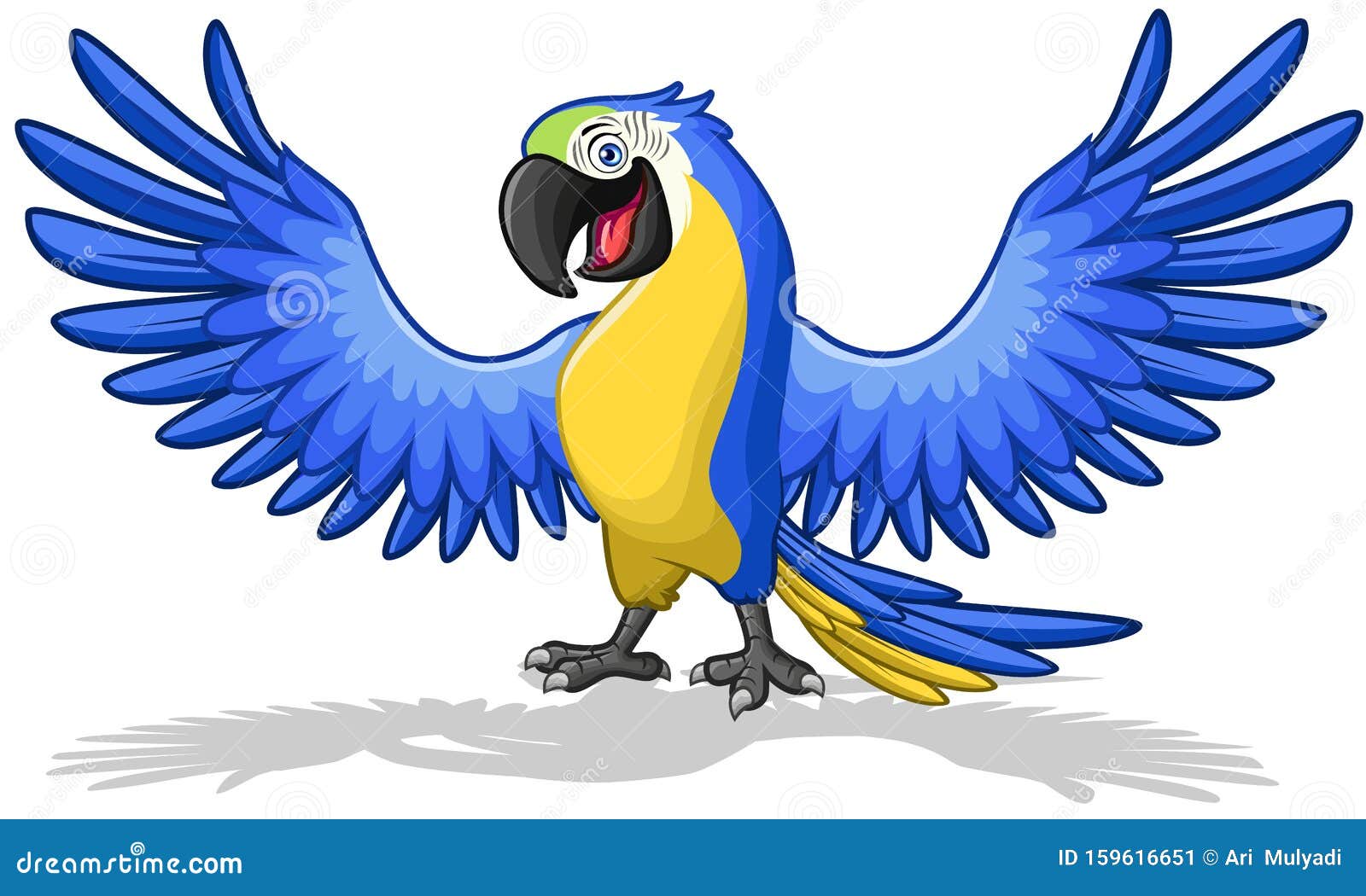 Macaw Illustration