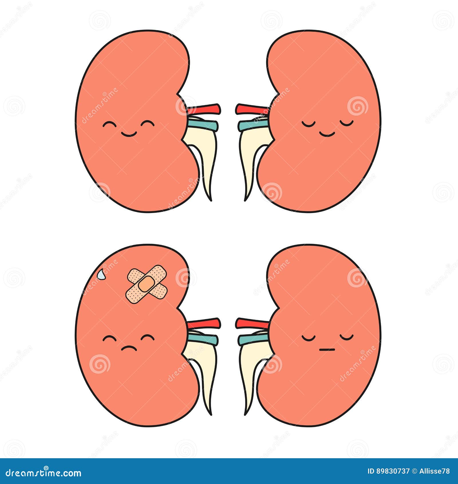 funny kidney clipart - photo #18