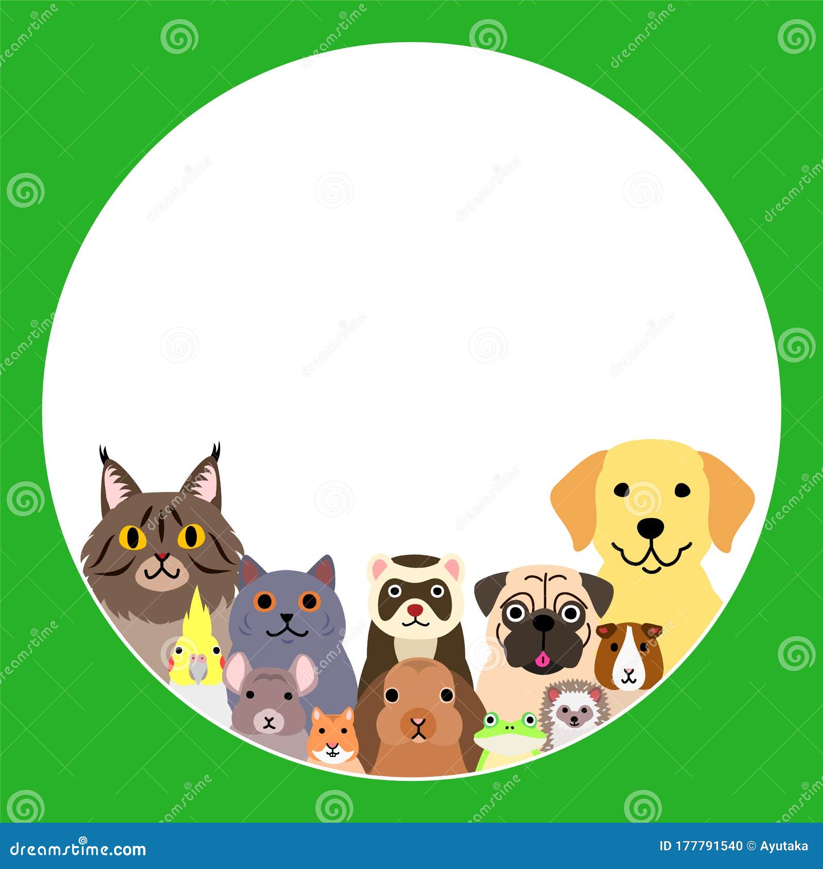 Pet Animals in Round Frame Design Stock Vector - Illustration of maine, design: 177791540 Pet Animals in Round Frame Design Stock Vector - Illustration of maine, design: 177791540