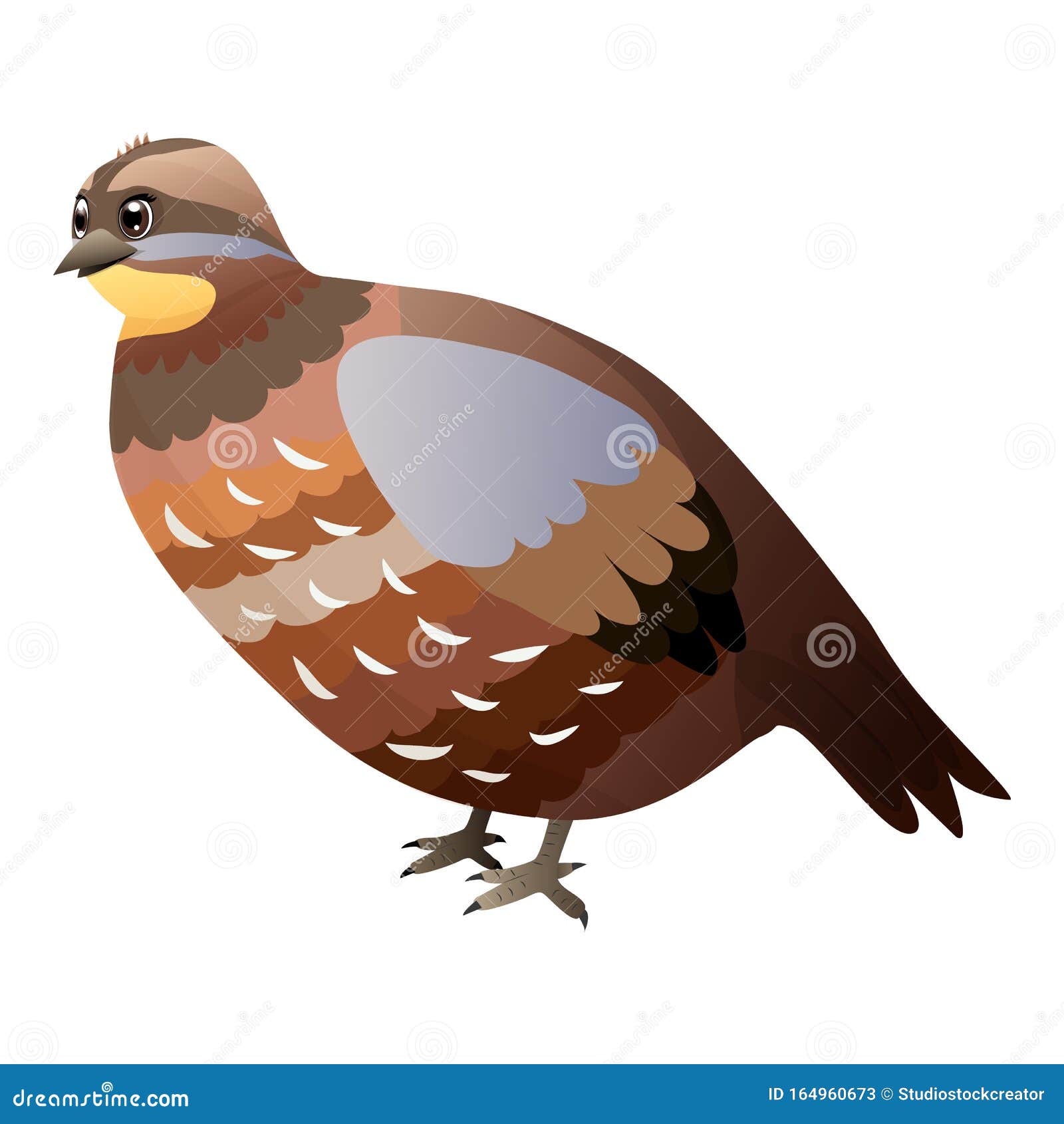 Cute Cartoon Quail Isolated on a White Background. Flat Style Stock Vector  - Illustration of grey, flat: 164960673