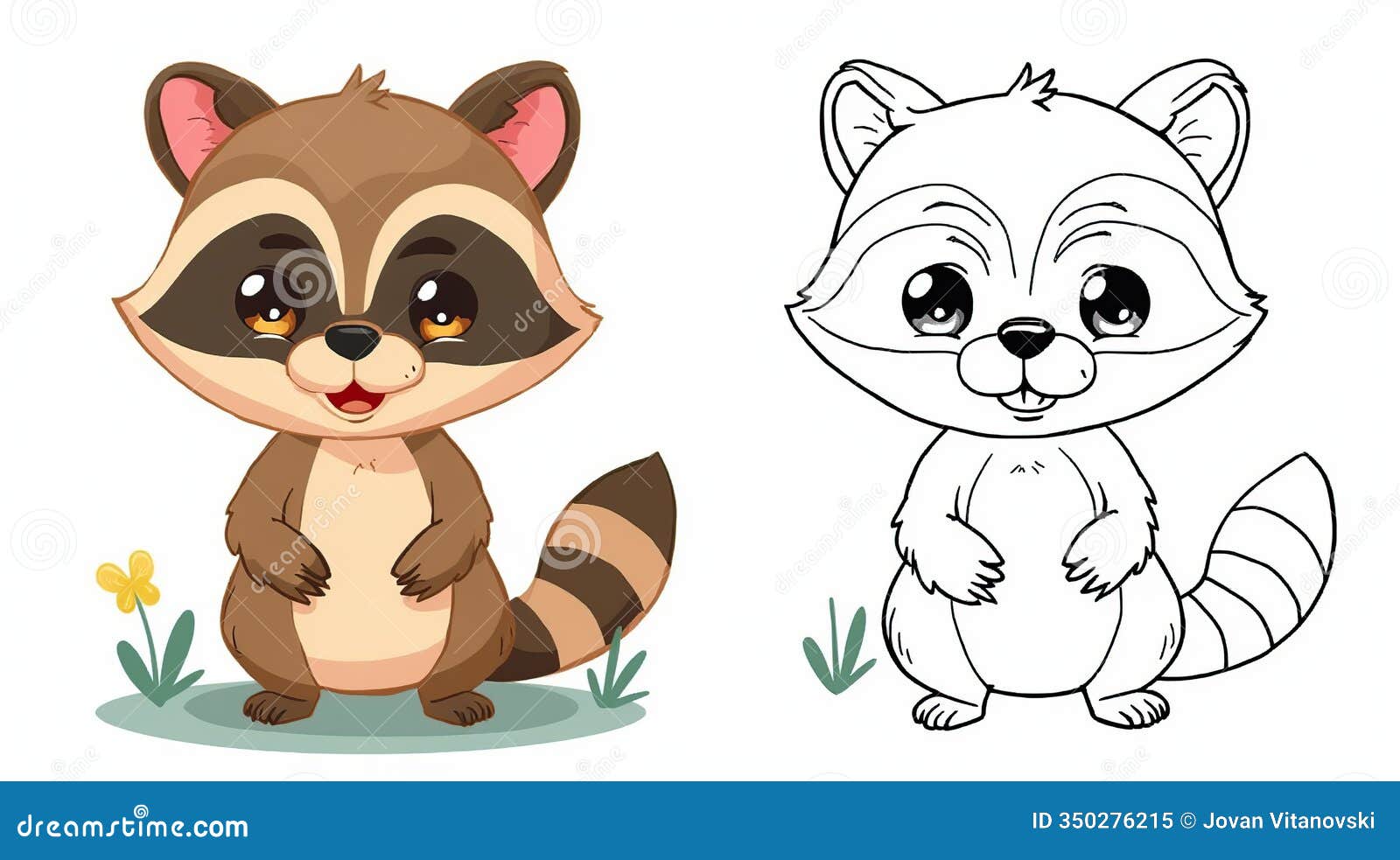 cute cartoon raccoon in color and outline versions