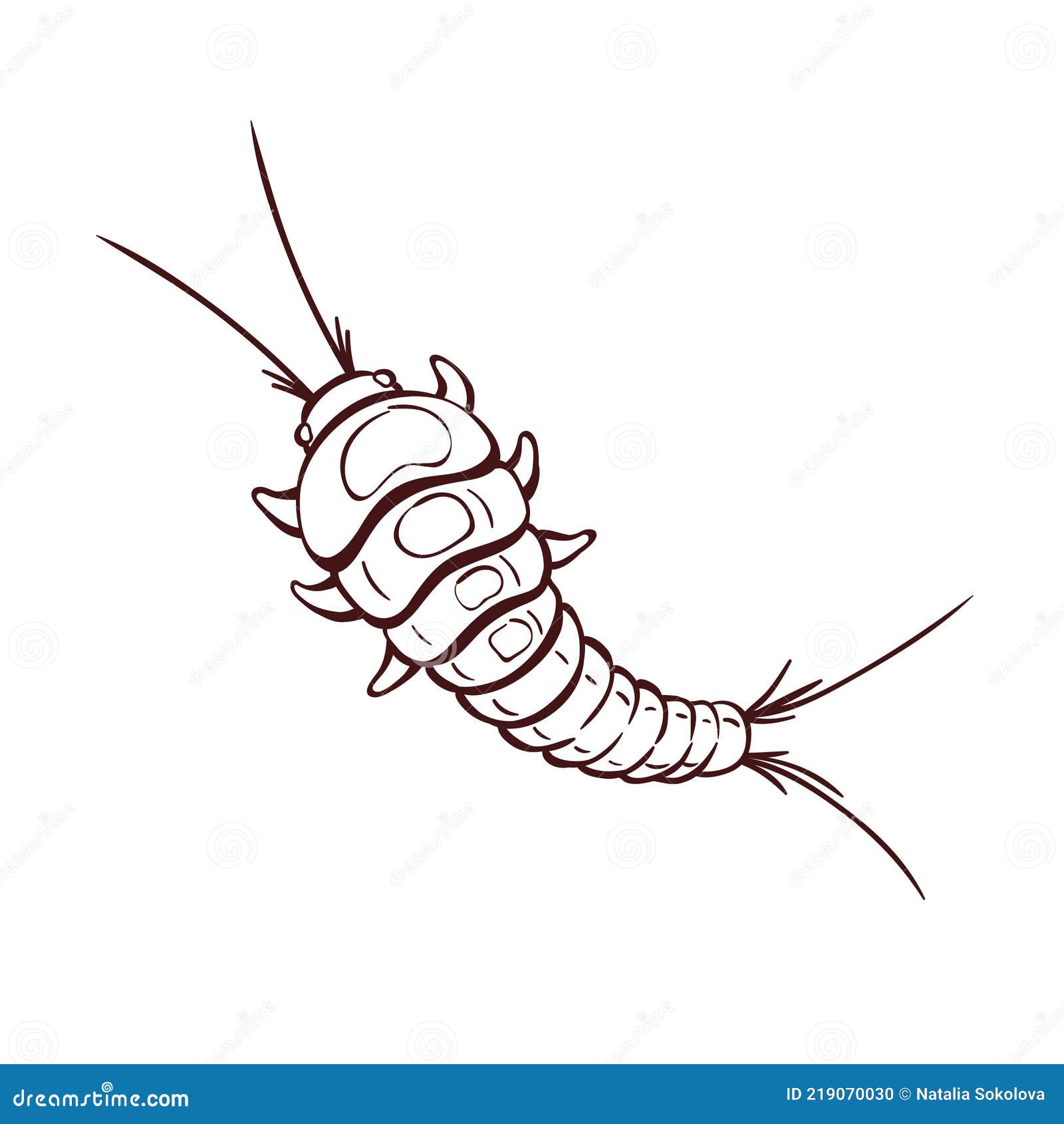 Cute Cartoon Silverfish, a Bathroom Pest, Macro Stock Vector - Illustration  of antique, insect: 219070030