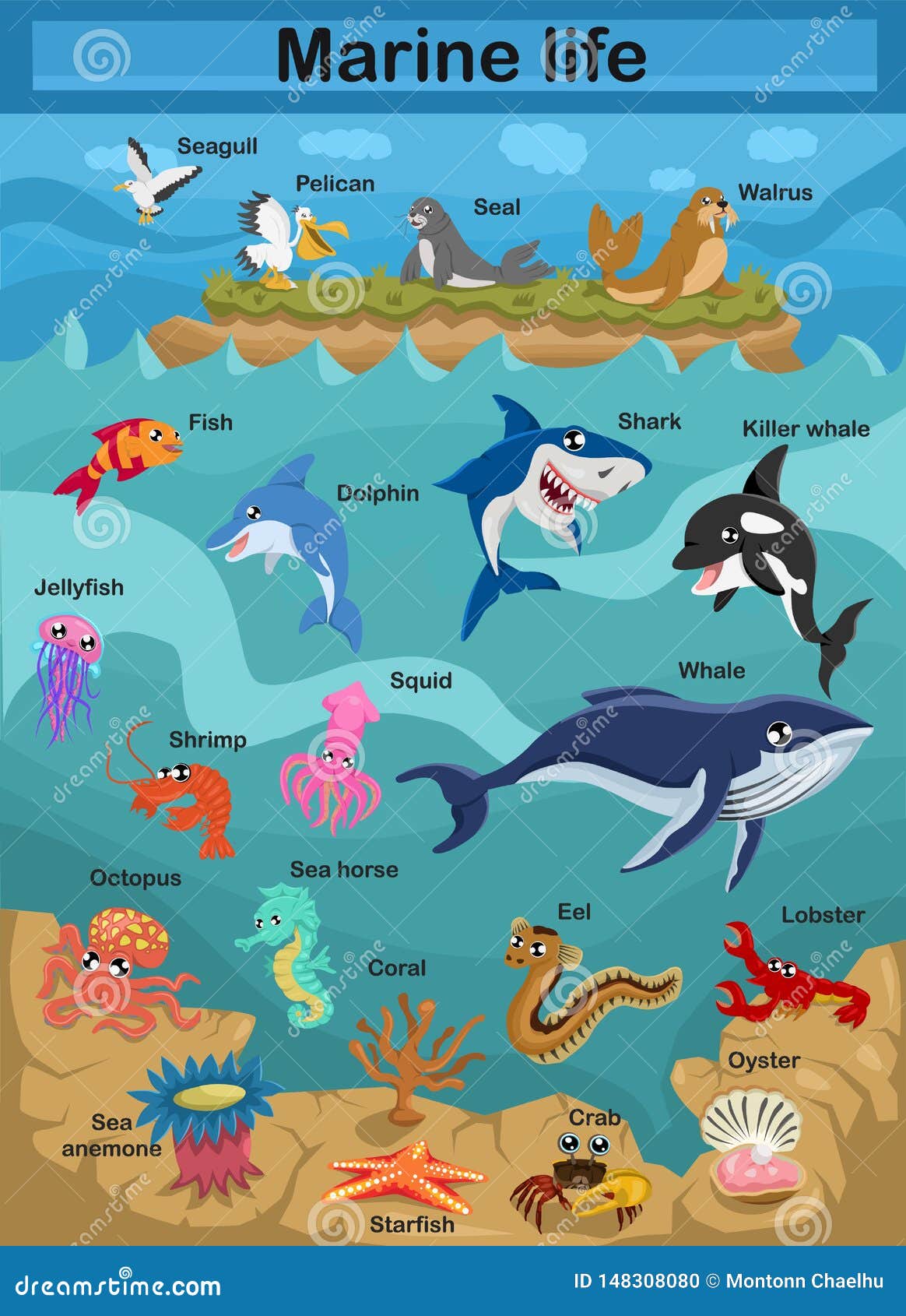 Cute Cartoon Vector Illustration Sea Life Exploring the Underwater World  for Children Underwater World Stock Vector - Illustration of dolphin,  scientific: 148308080
