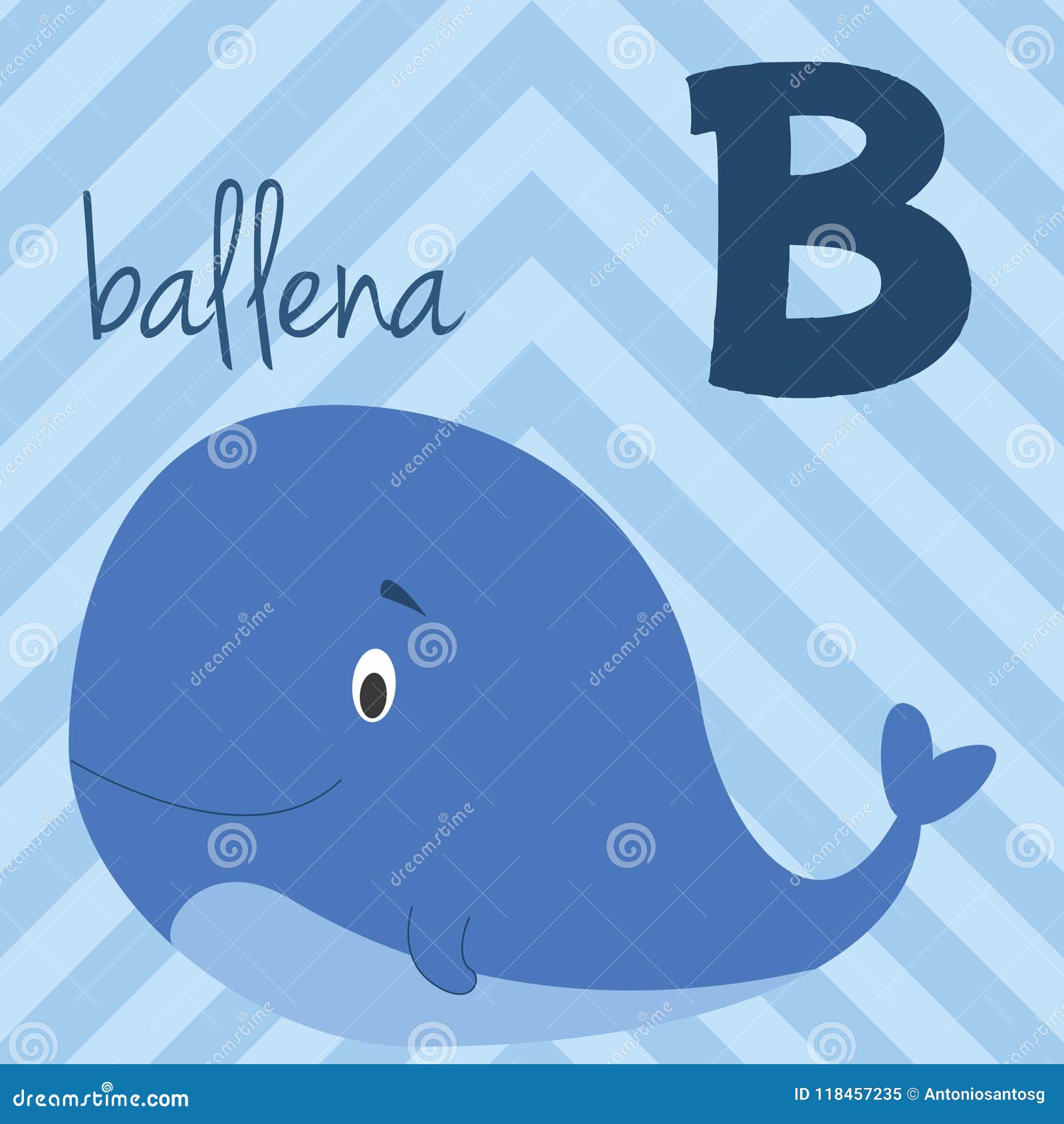 cute cartoon zoo illustrated alphabet with funny animals. spanish alphabet: b for ballena.