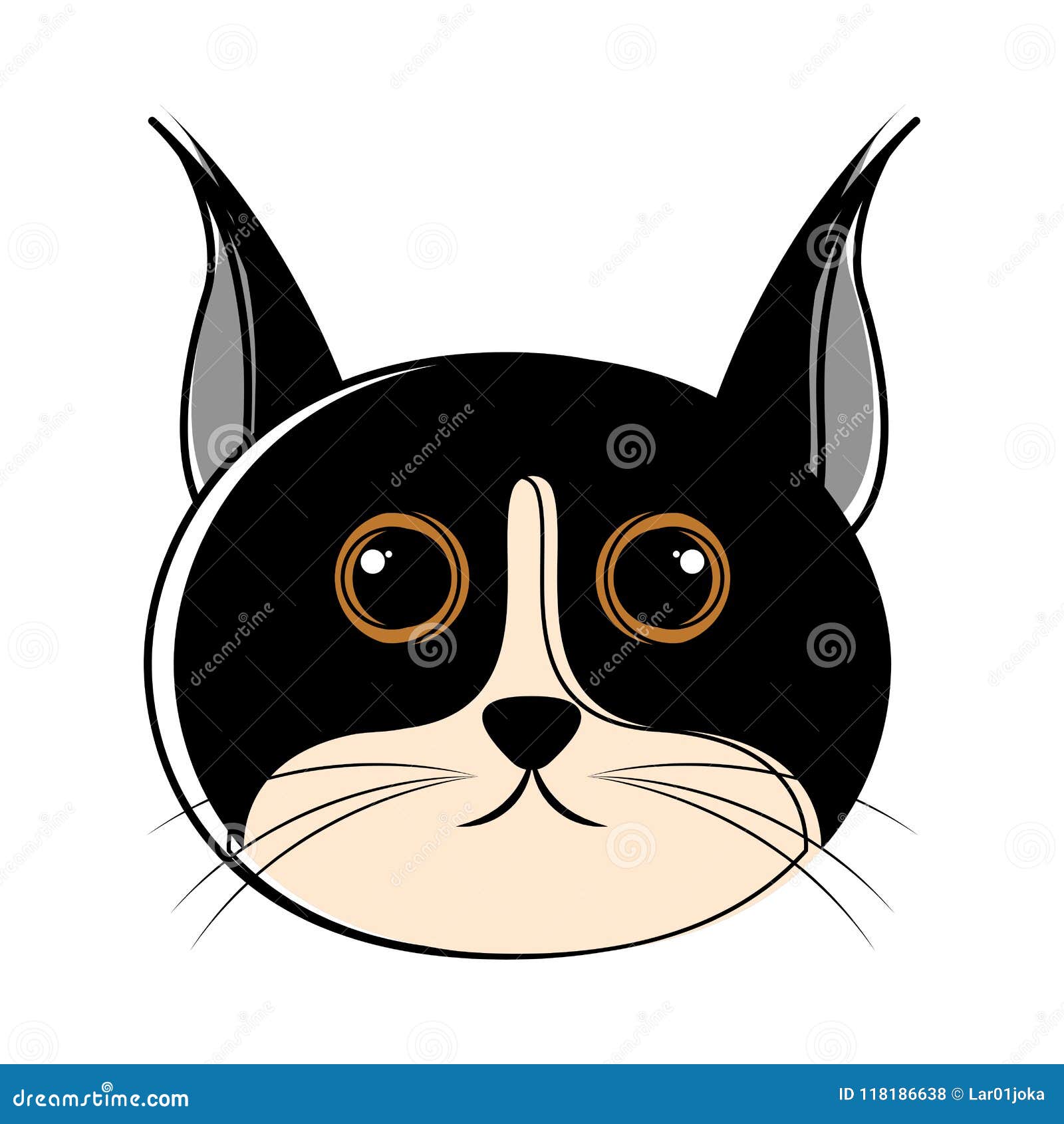 Grass Green Cute Cat Discord Profile Picture Avatar Template and Ideas for Design Fotor #40 Grass Green Cute Cat Discord Profile Picture Avatar Template and Ideas for Design Fotor