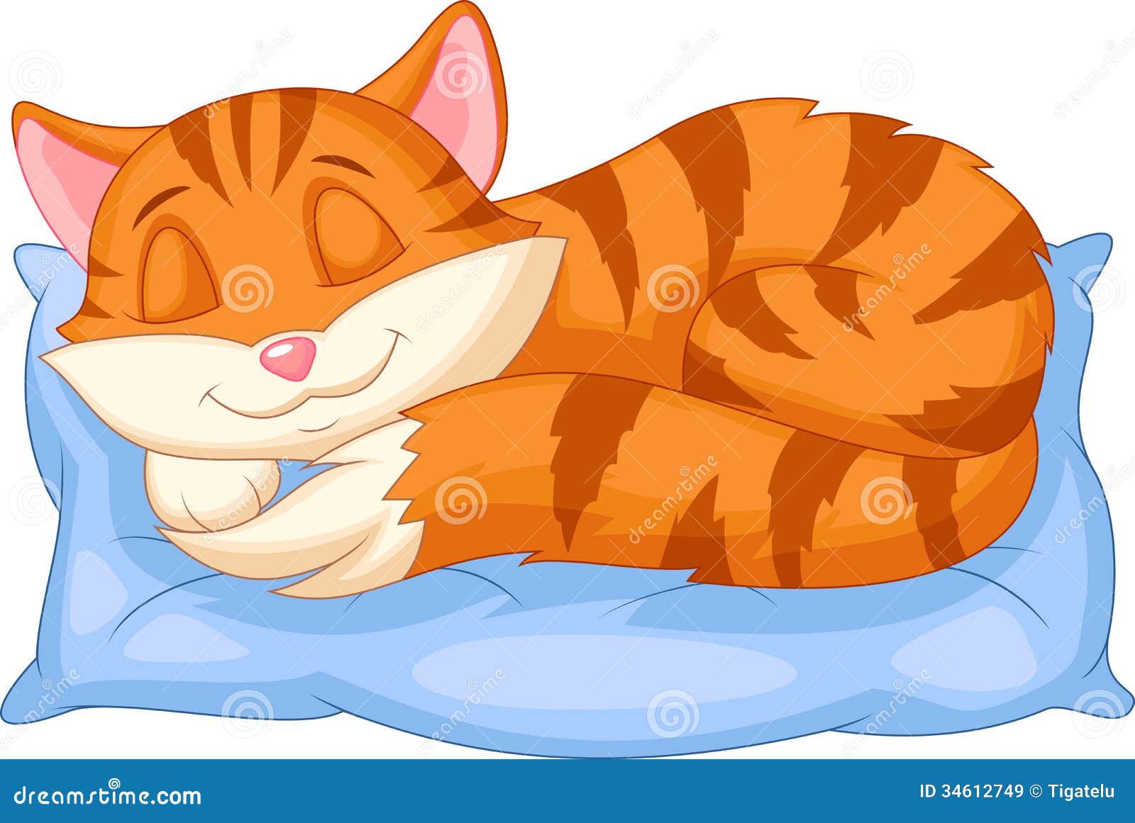 cute cat cartoon sleeping on a pillow