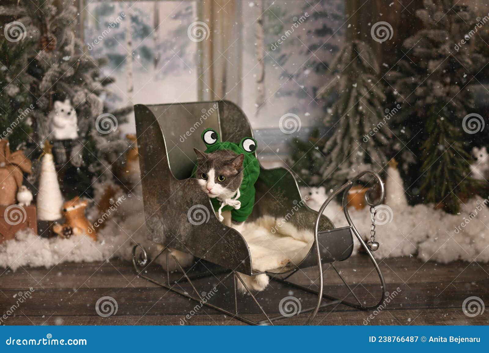 Cute Cat in Christmas Decor Stock Image Image of winter, suit 238766487