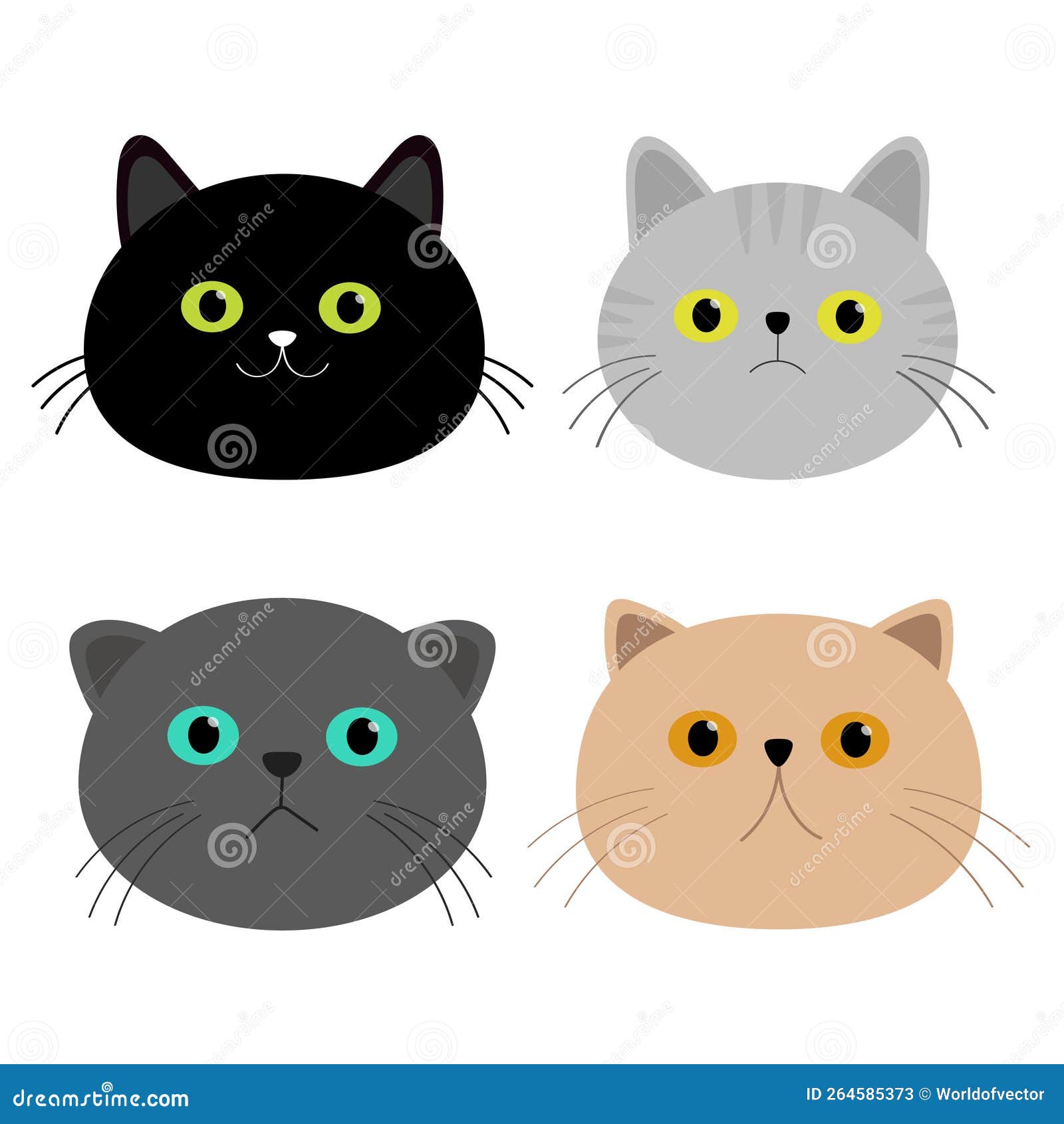 Funny Cat, Icons