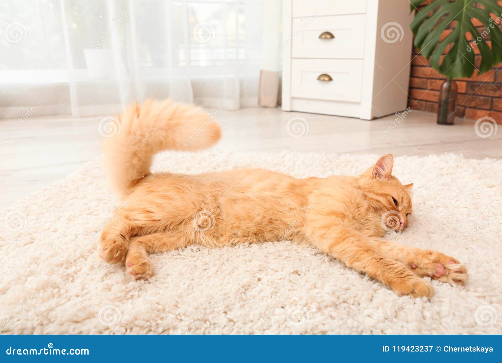 Cute cat lying on rug stock image. Image of lovely, fluffy 119423237