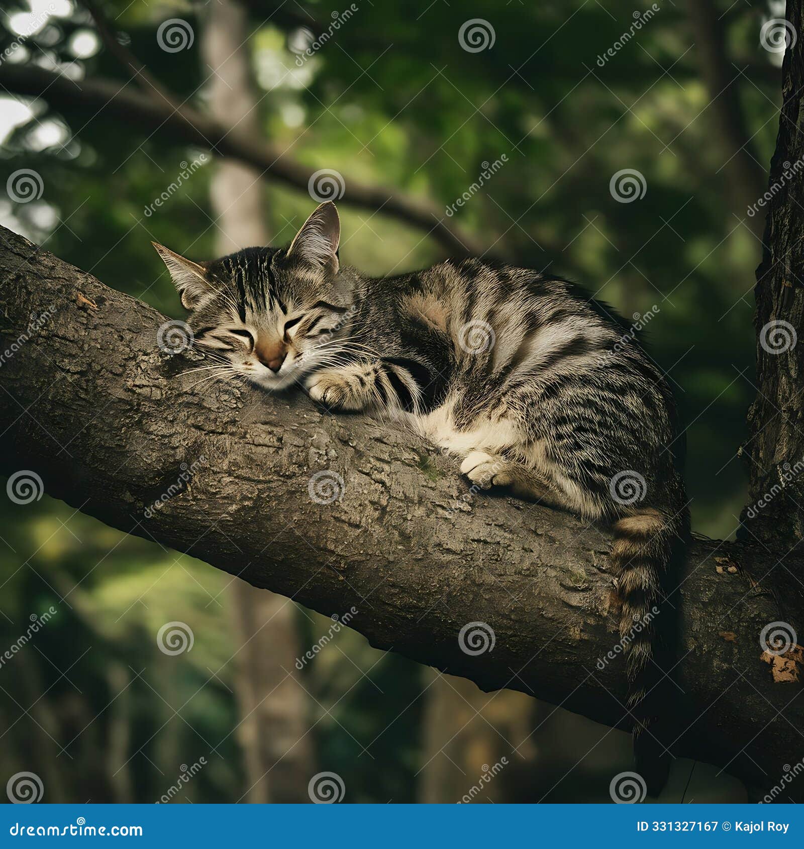 cute cat relaxing on a branch of a tree