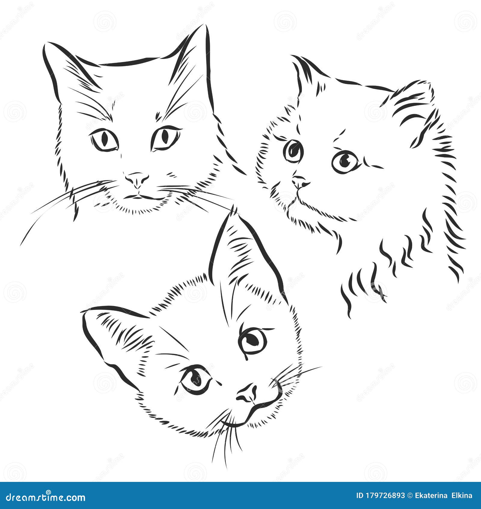 Cute Cat Black And White Sketch Style Greeting Card Download Free Vectors Clipart Graphics Vector Art