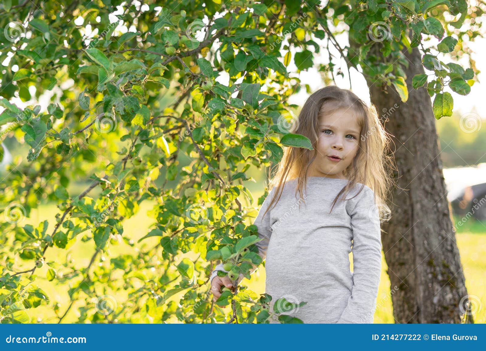 Cute Caucasian Little Girl in the Country Stock Photo - Image of dress ...
