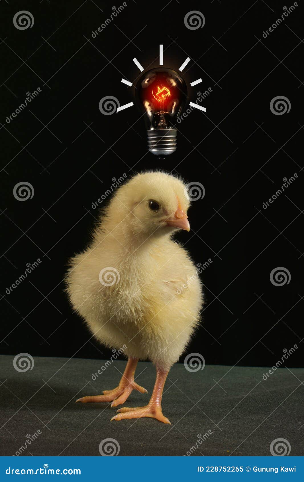 Cute chick with light bulb stock image. Image of idea 228752265