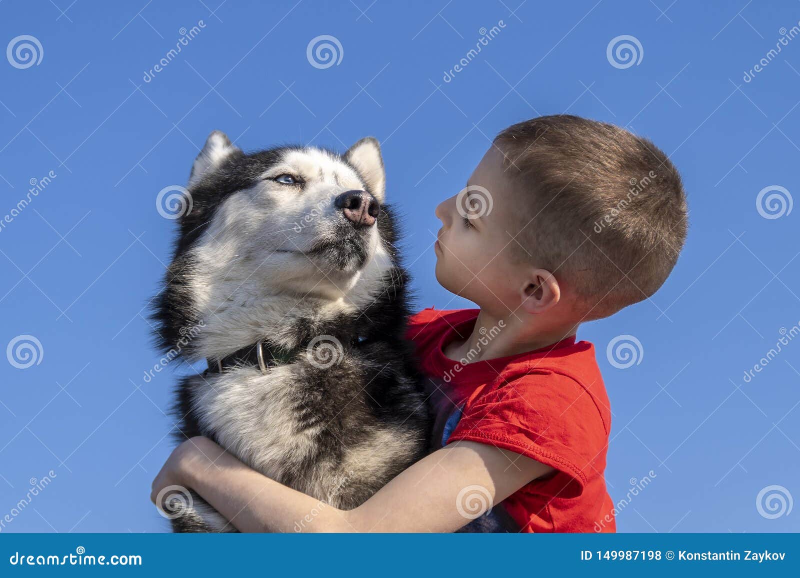 are siberian huskies good with small kids