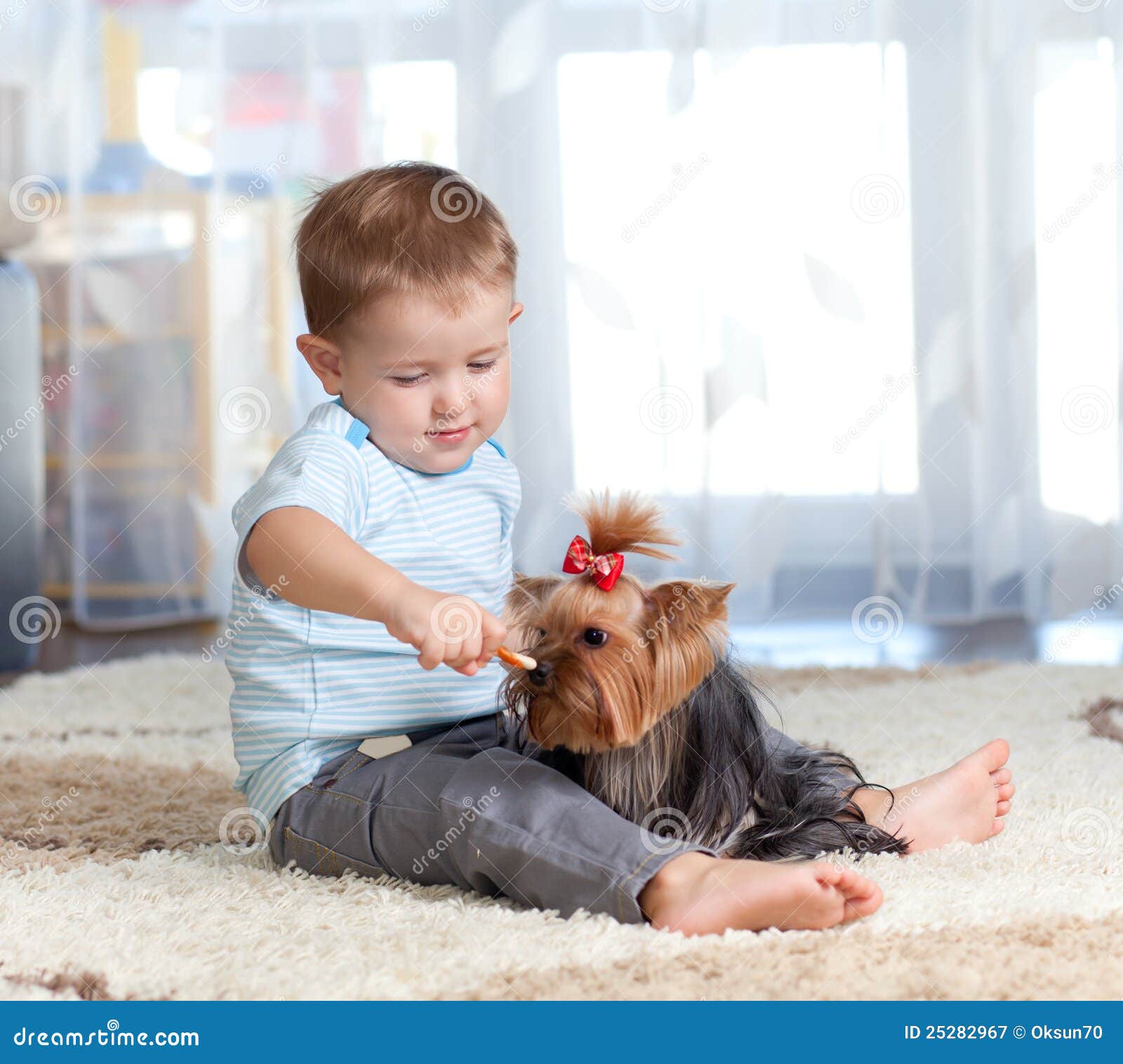 yorkshire terrier with kids